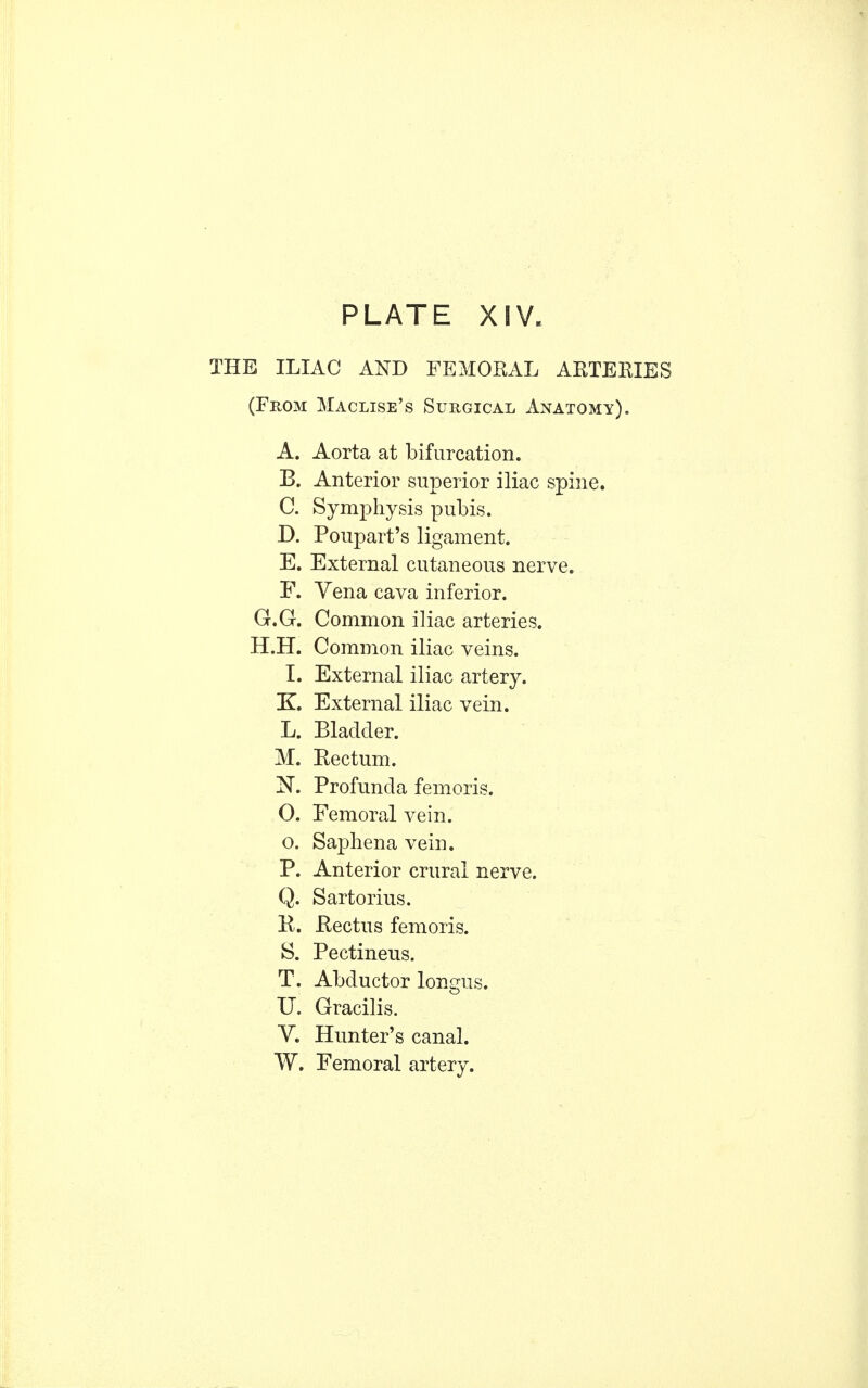 THE ILIAC AND FEMORAL ARTERIES (From Maclise's Surgical Anatomy). A. Aorta at bifurcation. B. Anterior superior iliac spine. C. Symphysis pubis. D. Poupart's ligament. E. External cutaneous nerve. F. Vena cava inferior. G. G. Common iliac arteries. H. H. Common iliac veins. I. External iliac artery. K. External iliac vein. L. Bladder. M. Rectum. N. Profunda femoris. O. Femoral vein, o. Saphena vein. P. Anterior crural nerve. Q. Sartorius. K. Rectus femoris. S. Pectineus. T. Abductor longus. U. Gracilis. V. Hunter's canal. W. Femoral artery.