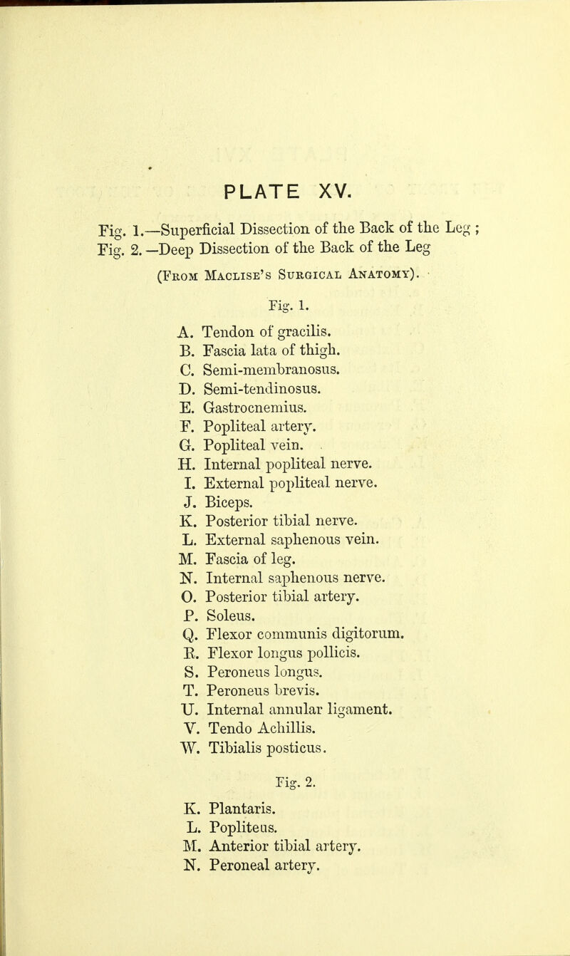 Tig. 1.—Superficial Dissection of the Back of the Leg Fig. 2. —Deep Dissection of the Back of the Leg (From Maclise's Surgical Anatomy). Fig. 1. A. Tendon of gracilis. B. Fascia lata of thigh. C. Semi-menibranosus. D. Semi-tendinosus. E. Gastrocnemius. F. Popliteal artery. G. Popliteal vein. H. Internal popliteal nerve. I. External popliteal nerve. J. Biceps. K. Posterior tibial nerve. L. External saphenous vein. M. Fascia of leg. N. Internal saphenous nerve. O. Posterior tibial artery. P. Soleus. Q. Flexor communis digitorum. R. Flexor longus pollicis. S. Peroneus longus. T. Peroneus brevis. U. Internal annular ligament. V. Tendo Achillis. W. Tibialis posticus. Fig. 2. K. Plantaris. L. Popliteas. M. Anterior tibial artery. N. Peroneal artery.