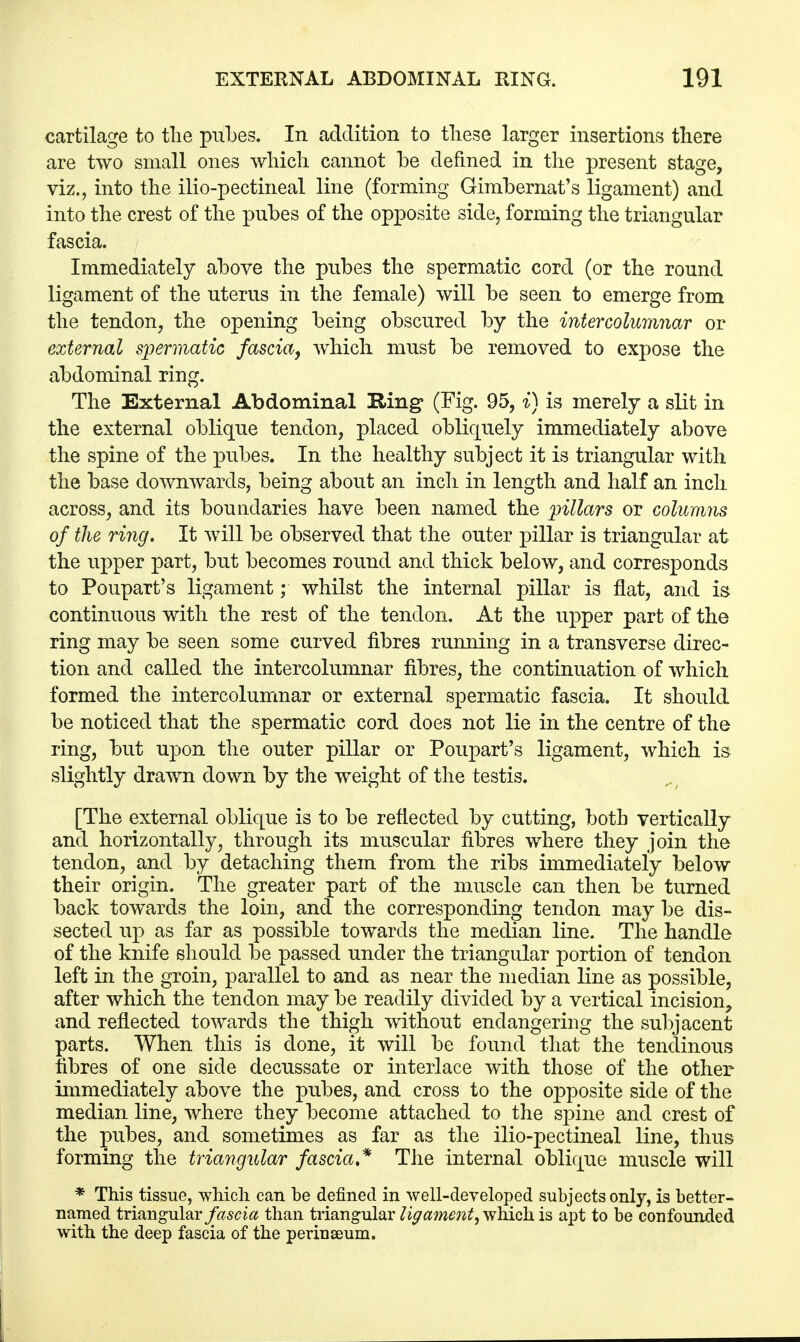 cartilage to the pubes. In addition to these larger insertions there are two small ones which cannot he defined in the present stage, viz., into the ilio-pectineal line (forming Gimbernat's ligament) and into the crest of the pubes of the opposite side, forming the triangular fascia. Immediately above the pubes the spermatic cord (or the round ligament of the uterus in the female) will be seen to emerge from the tendon, the opening being obscured by the inter columnar or external spermatic fascia, which must be removed to expose the abdominal ring. The External Abdominal Ring (Fig. 95, i) is merely a slit in the external oblique tendon, placed obliquely immediately above the spine of the pubes. In the healthy subject it is triangular with the base downwards, being about an inch in length and half an inch across, and its boundaries have been named the pillars or columns of the ring. It will be observed that the outer pillar is triangular at the upper part, but becomes round and thick below, and corresponds to Poupart's ligament; whilst the internal pillar is flat, and is continuous with the rest of the tendon. At the upper part of the ring may be seen some curved fibres running in a transverse direc- tion and called the intercolumnar fibres, the continuation of which formed the intercolumnar or external spermatic fascia. It should be noticed that the spermatic cord does not lie in the centre of the ring, but upon the outer pillar or Poupart's ligament, which is slightly drawn down by the weight of the testis. [The external oblique is to be reflected by cutting, both vertically and horizontally, through its muscular fibres where they join the tendon, and by detaching them from the ribs immediately below their origin. The greater part of the muscle can then be turned back towards the loin, and the corresponding tendon may be dis- sected up as far as possible towards the median line. The handle of the knife should be passed under the triangular portion of tendon left in the groin, parallel to and as near the median line as possible, after which the tendon may be readily divided by a vertical incision, and reflected towards the thigh without endangering the subjacent parts. When this is done, it will be found that the tendinous fibres of one side decussate or interlace with those of the other immediately above the pubes, and cross to the opposite side of the median line, where they become attached to the spine and crest of the pubes, and sometimes as far as the ilio-pectineal line, thus forming the triangular fascia * The internal oblique muscle will * This tissue, which can be denned in well-developed subjects only, is better- named triangular fascia than triangular ligament, which is apt to be confounded with the deep fascia of the perinaeum.