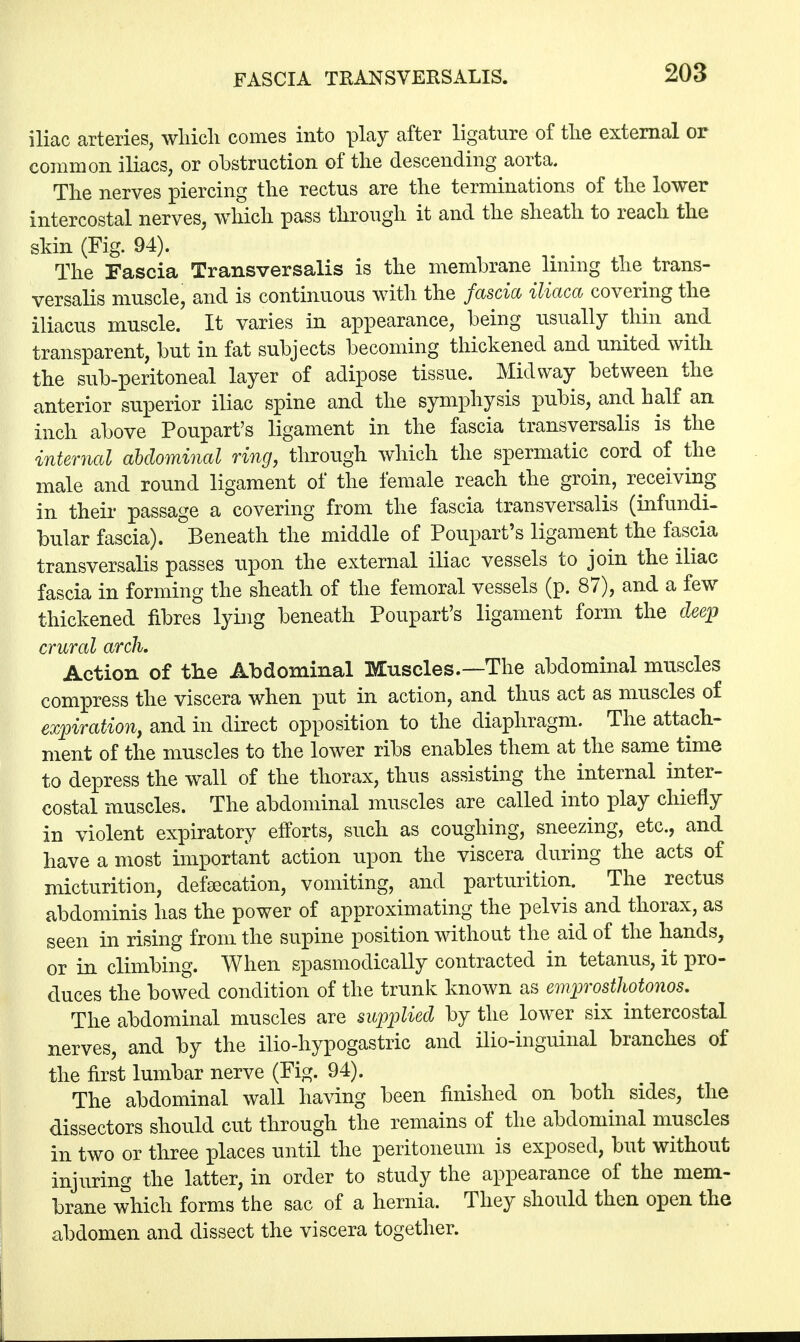 FASCIA THANSVERSALIS. iliac arteries, wliicli comes into play after ligature of the external or common iliacs, or obstruction of the descending aorta. The nerves piercing the rectus are the terminations of the lower intercostal nerves, which pass through it and the sheath to reach the skin (Fig. 94). The Fascia Transversalis is the membrane lining the trans- versalis muscle, and is continuous with the fascia iliaca covering the iliacus muscle. It varies in appearance, being usually thin and transparent, but in fat subjects becoming thickened and united with the sub-peritoneal layer of adipose tissue. Midway between the anterior superior iliac spine and the symphysis pubis, and half an inch above Poupart's ligament in the fascia transversalis is the internal abdominal ring, through which the spermatic cord of the male and round ligament of the female reach the groin, receiving in their passage a covering from the fascia transversalis (infundi- bular fascia). Beneath the middle of Poupart's ligament the fascia transversalis passes upon the external iliac vessels to join the iliac fascia in forming the sheath of the femoral vessels (p. 87), and a few thickened fibres lying beneath Poupart's ligament form the deep crural arch. Action of the Abdominal Muscles.—The abdominal muscles compress the viscera when put in action, and thus act as muscles of expiration, and in direct opposition to the diaphragm. The attach- ment of the muscles to the lower ribs enables them at the same time to depress the wall of the thorax, thus assisting the internal inter- costal muscles. The abdominal muscles are called into play chiefly in violent expiratory efforts, such as coughing, sneezing, etc., and have a most important action upon the viscera during the acts of micturition, defecation, vomiting, and parturition. The rectus abdominis has the power of approximating the pelvis and thorax, as seen in rising from the supine position without the aid of the hands, or in climbing. When spasmodically contracted in tetanus, it pro- duces the bowed condition of the trunk known as emprosthotonos. The abdominal muscles are supplied by the lower six intercostal nerves, and by the ilio-hypogastric and ilio-inguinal branches of the first lumbar nerve (Fig. 94). The abdominal wall having been finished on both sides, the dissectors should cut through the remains of the abdominal muscles in two or three places until the peritoneum is exposed, but without injuring the latter, in order to study the appearance of the mem- brane which forms the sac of a hernia. They should then open the abdomen and dissect the viscera together.
