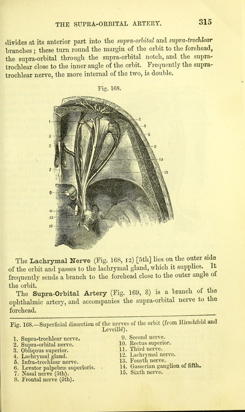 THE SUPRA-ORBITAL ARTERY. divides at its anterior part into the supra-orMtal and sttpra-trochlear branches ; these turn round the margin of the orbit to the forehead, the supra-orbital through the supra-orbital notch, and the supra- trochlear close to the inner angle of the orbit. Frequently the supra- trochlear nerve, the more internal of the two, is double. Fig. 168. The Lachrymal Xerve (Fig. 168, 12) [5th] lies on the outer side of the orbit and passes to the lachrymal gland, which it supplies. It frequently sends a branch to the forehead close to the outer angle of the orbit. The Supra-Orbital Artery (Fig. 169, 8) is a branch of the ophthalmic artery, and accompanies the supra-orbital nerve to the forehead. Fig. 168.—Superficial dissection of the nerves of the orbit (from Hirschfeld and Leveille). 1. Supra-trochlear nerve. 2. Supra-orbital nerve. 3. Obliquus superior. 4. Lachrymal gland. 5. Infra-trochlear nerve. 6. Levator palpebrae superioris. 7. Nasal nerve (5th). 8. Frontal nerve (oth). 9. Second nerve. 10. Rectus superior. 11. Third nerve. 12. Lachrymal nerve. 13. Fourth nerve. 14. Gasserian ganglion of fifth. 15. Sixth nerve.