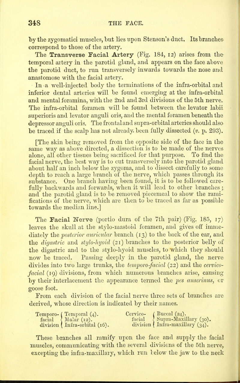 by the zygomatici muscles, but lies upon Stenson's duct. Its branches- correspond to those of the artery. The Transverse Facial Artery (Fig. 184, 12) arises from the- temporal artery in the parotid gland, and appears on the face above the parotid duct, to run transversely inwards towards the nose and anastomose with the facial artery. In-a well-injected body the terminations of the infra-orbital and inferior dental arteries will be found emerging at the infra-orbital and mental foramina, with the 2nd and 3rd divisions of the 5th nerve. The infra-orbital foramen will be found between the levator labii superioris and levator anguli oris, and the mental foramen beneath the depressor anguli oris. The frontal and supra-orbital arteries should also be traced if the scalp has not already, been fully dissected (v. p. 293). [The skin being removed from the opposite side of the face in the same way as above directed, a dissection is to be made of the nerves alone, all other tissues being sacrificed for that purpose. To find the facial nerve, the best way is to cut transversely into the parotid gland about half an inch below the zygoma, and to dissect carefully to some depth to reach a large branch of the nerve, which passes through its substance. One branch having been found, it is to be followed care- fully backwards and forwards, when it will lead to other branches ; and the parotid gland is to be removed piecemeal to show the rami- fications of the nerve, which are then to be traced as far as possible towards the median line.] The Facial Herve (portio dura of the 7th pair) (Fig. 185, 17) leaves the skull at the stylo-mastoid foramen, and gives off imme- diately the posterior auricular branch (13) to the back of the ear, and the digastric and stylo-hyoid (21) branches to the posterior belly of the digastric and to the stylo-hyoid muscles, to which they should now be traced. Passing deeply in the parotid gland, the nerve divides into two large trunks, the temporo-facial (22) and the cervico- facial (19) divisions, from which numerous branches arise, causing by their interlacement the appearance termed the pes anserinus, or goose foot. From each division of the facial nerve three sets of branches are derived, whose direction is indicated by their names. Temporo- ( Temporal (4). Cervico- ( Buccal (24). facial < Malar (12). facial 1 Supra-Maxillary (30). division (Infra-orbital (16). division ( Infra-maxillary (34). These branches all ramify upon the face and supply the facial muscles, communicating with the several divisions of the 5th nerve, excepting the infra-maxillary, which run below the jaw to the neck