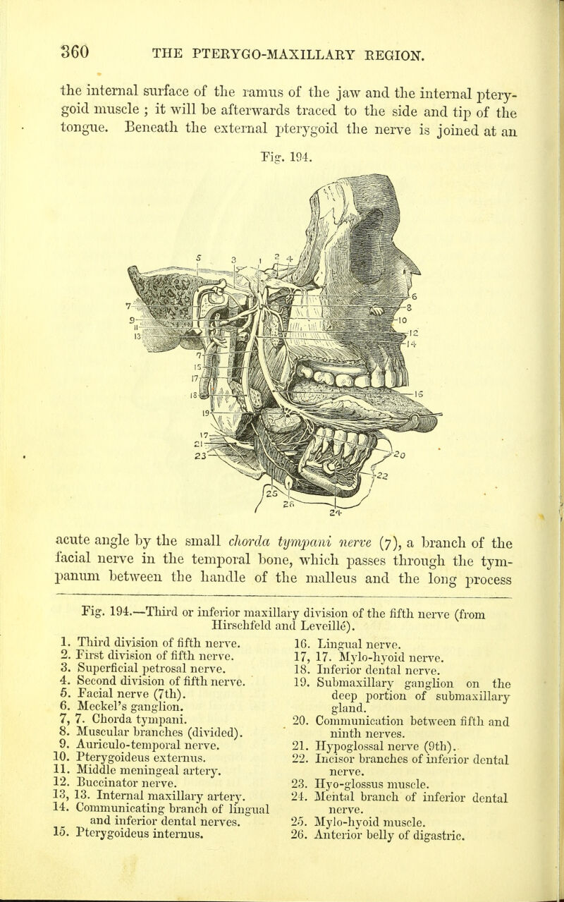 the internal surface of the ramus of the jaw and the internal ptery- goid muscle ; it will be afterwards traced to the side and tip of the tongue. Beneath the external pterygoid the nerve is joined at an Pig. 194. acute angle by the small chorda tympani nerve (7), a branch of the facial nerve in the temporal bone, which passes through the tym- panum between the handle of the malleus and the long process Fig. 194.--Third or inferior maxill Hirschfeld a 1. Third division of fifth nerve. 2. First division of fifth nerve. 3. Superficial petrosal nerve. 4. Second division of fifth nerve. 5. Facial nerve (7th). 6. Meckel's ganglion. 7. 7. Chorda tympani. 8. Muscular branches (divided). 9. Auriculo-temporal nerve. 10. Pterygoideus externus. 11. Middle meningeal artery. 12. Buccinator nerve. 13. 13. Internal maxillary artery. 14. Communicating branch of lingual and inferior dental nerves. 15. Pterygoideus internus. ry division of the fifth nerve (from .d Leveille). 16. Lingual nerve. 17. 17. Mylo-hyoid nerve. 18. Inferior dental nerve. 19. Submaxillary ganglion on the deep portion of submaxillary gland. 20. Communication between fifth and ninth nerves. 21. Hypoglossal nerve (9th). 22. Incisor branches of inferior dental nerve. 23. Hyo-glossus muscle. 24. Mental branch of inferior dental nerve. 25. Mylo-hyoid muscle. 26. Anterior belly of digastric.