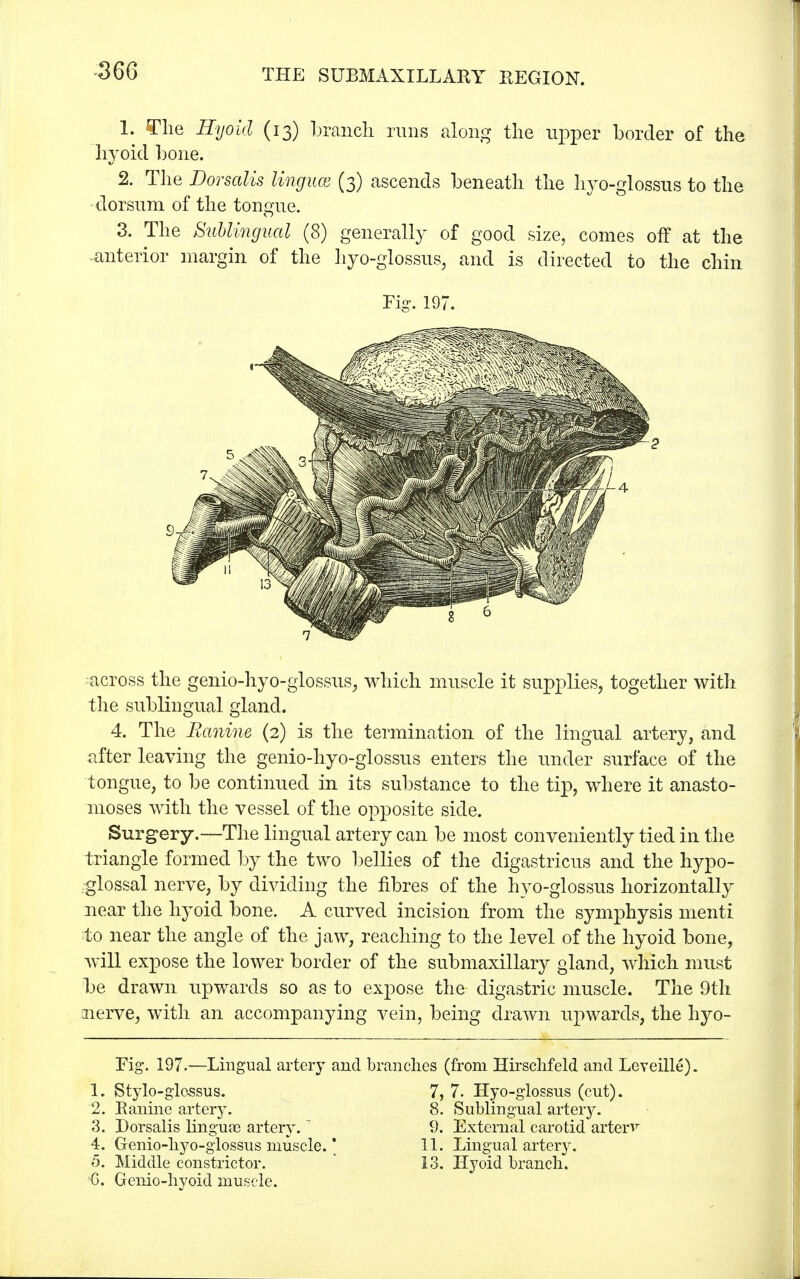 1. The Hyoid (13) branch runs along the upper border of the hyoid bone. 2. The Dorsalis lingua (3) ascends beneath the hyo-glossus to the dorsum of the tongue. 3. The Sublingual (8) generally of good size, comes off at the anterior margin of the hyo-glossus, and is directed to the chin across the genio-hyo-glossus, which muscle it supplies, together with the sublingual gland. 4. The Banine (2) is the termination of the lingual artery, and after leaving the genio-hyo-glossus enters the under surface of the tongue, to be continued in its substance to the tip, where it anasto- moses with the vessel of the opposite side. Surgery.—The lingual artery can be most conveniently tied in the triangle formed by the two bellies of the digastricus and the hypo- glossal nerve, by dividing the fibres of the hyo-glossus horizontally near the hyoid bone. A curved incision from the symphysis menti to near the angle of the jaw, reaching to the level of the hyoid bone, will expose the lower border of the submaxillary gland, which must be drawn upwards so as to expose the digastric muscle. The 9th nerve, with an accompanying vein, being drawn upwards, the hyo- Fig. 197.—Lingual artery and branches (from Hirschfeld and Leveille). 1. Stylo-glossus. 7, 7. Hyo-glossus (cut). 2. Ranine artery. 8. Sublingual artery. 3. Dorsalis linguae artery.* 9. External carotid arterv 4. Genio-hyo-glossus muscle.' 11. Lingual artery. 5. Middle constrictor. 13. Hyoid branch. J6. Genio-hyoid muscle. Fig. 197. 2