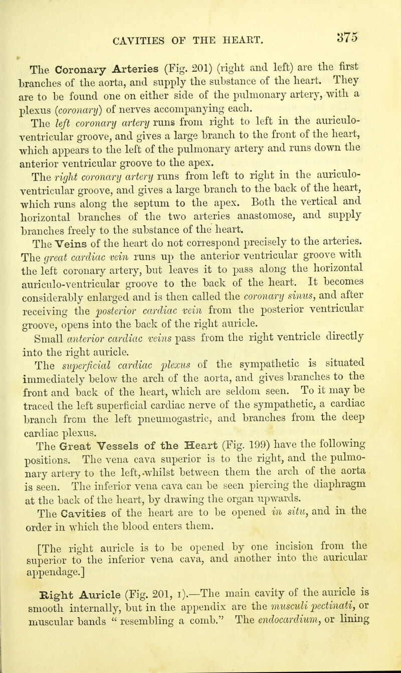 CAVITIES OF THE HEART. Tlie Coronary Arteries (Fig. 201) (right and left) are the first branches of the aorta, and supply the substance of the heart. They are to be found one on either side of the pulmonary artery, with a plexus (coronary) of nerves accompanying each. The left coronary artery runs from right to left in the auriculo- ventricular groove, and gives a large branch to the front of the heart, which appears to the left of the pulmonary artery and runs down the anterior ventricular groove to the apex. The right coronary artery runs from left to right in the auriculo- ventricular groove, and gives a large branch to the back of the heart, which runs along the septum to the apex. Both the vertical and horizontal branches of the two arteries anastomose, and supply branches freely to the substance of the heart. The Veins of the heart do not correspond precisely to the arteries. The great cardiac vein runs up the anterior ventricular groove with the left coronary artery, but leaves it to pass along the horizontal auriculo-ventricular groove to the back of the heart. It becomes considerably enlarged and is then called the coronary sinus, and after receiving the posterior cardiac vein from the posterior ventricular groove, opens into the back of the right auricle. Small anterior cardiac veins pass from the right ventricle directly into the right auricle. The superficial cardiac plexus of the sympathetic is situated immediately bekw the arch of the aorta, and gives branches to the front and back of the heart, which are seldom seen. To it may be traced the left superficial cardiac nerve of the sympathetic, a cardiac branch from the left pneumogastric, and branches from the deep cardiac plexus. The Great Vessels of the Heart (Fig. 199) have the following positions. The vena cava superior is to the right, and the pulmo- nary artery to the left,-whilst between them the arch of the aorta is seen. The inferior vena cava can be seen piercing the diaphragm at the back of the heart, by drawing the organ upwards. The Cavities of the heart are to be opened in situ, and in the order in which the blood enters them. [The right auricle is to be opened by one incision from the superior to the inferior vena cava, and another into the auricular appendage.] Bight Auricle (Fig. 201, i).—The main cavity of the auricle is smooth internally, but in the appendix are the musculi pectinati, or muscular bands  resembling a comb. The endocardium, or lining