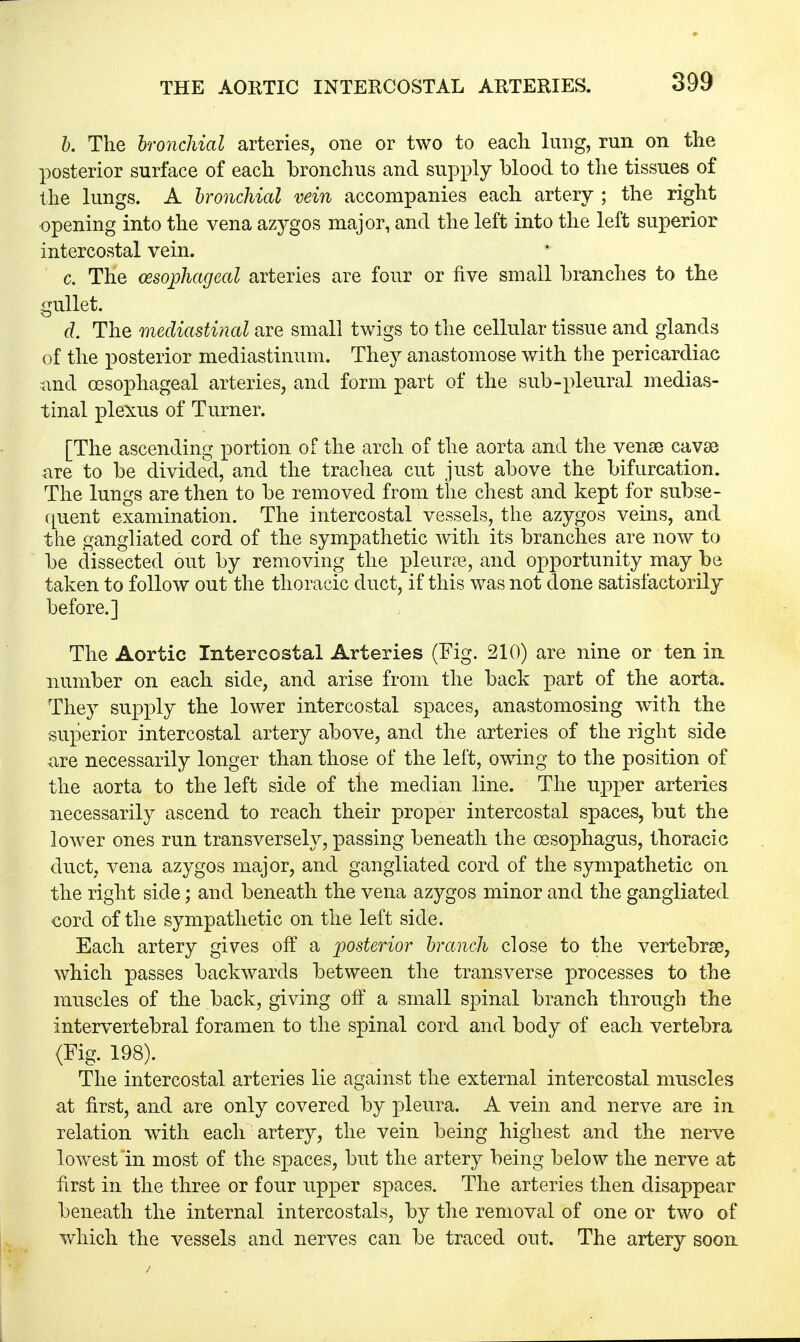 b. The bronchial arteries, one or two to each lung, run on the posterior surface of each bronchus and supply blood, to the tissues of the lungs. A bronchial vein accompanies each artery ; the right opening into the vena azygos major, and the left into the left superior intercostal vein. c. The oesophageal arteries are four or five small branches to the gullet. d. The mediastinal are small twigs to the cellular tissue and glands of the posterior mediastinum. They anastomose with the pericardiac and oesophageal arteries, and form part of the sub-pleural medias- tinal plexus of Turner. [The ascending portion of the arch of the aorta and the vense cavse are to be divided, and the trachea cut just above the bifurcation. The lungs are then to be removed from the chest and kept for subse- quent examination. The intercostal vessels, the azygos veins, and the gangliated cord of the sympathetic with its branches are now to be dissected out by removing the pleurre, and opportunity may be taken to follow out the thoracic duct, if this was not done satisfactorily before.] The Aortic Intercostal Arteries (Fig. 210) are nine or ten in number on each side, and arise from the back part of the aorta. They supply the lower intercostal spaces, anastomosing with, the superior intercostal artery above, and the arteries of the right side are necessarily longer than those of the left, owing to the position of the aorta to the left side of the median line. The upper arteries necessarily ascend to reach their proper intercostal spaces, but the lower ones run transversely, passing beneath the oesophagus, thoracic duct, vena azygos major, and gangliated cord of the sympathetic on the right side; and beneath the vena azygos minor and the gangliated cord of the sympathetic on the left side. Each artery gives off a posterior branch close to the vertebrse, which passes backwards between the transverse processes to the muscles of the back, giving off a small spinal branch through the intervertebral foramen to the spinal cord and body of each vertebra (Fig. 198). The intercostal arteries lie against the external intercostal muscles at first, and are only covered by pleura. A vein and nerve are in relation wTith each artery, the vein being highest and the nerve lowest in most of the spaces, but the artery being below the nerve at first in the three or four upper spaces. The arteries then disappear beneath the internal intercostals, by the removal of one or two of which the vessels and nerves can be traced out. The artery soon
