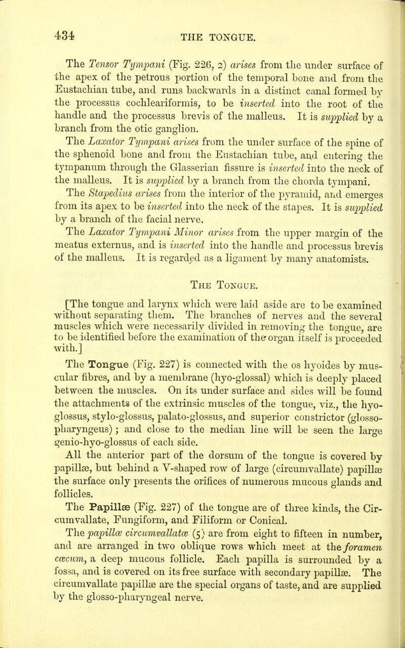 The Tensor Tympani (Fig. 226, 2) arises from the under surface of the apex of the petrous portion of the temporal bone and from the Eustachian tube, and runs backwards in a distinct canal formed by the processus cochleariformis, to be inserted into the root of the handle and the processus brevis of the malleus. It is supplied by a branch from the otic ganglion. The Laxator Tympani arises from the under surface of the spine of the sphenoid bone and from the Eustachian tube, and entering the tympanum through the Glasserian fissure is inserted into the neck of the malleus. It is supplied by a branch from the chorda tympani. The Stapedius arises from the interior of the pyramid, and emerges from its apex to be inserted into the neck of the stapes. It is supplied by a branch of the facial nerve. The Laxator Tympani Minor arises from the upper margin of the meatus externus, and is inserted into the handle and processus brevis of the malleus. It is regarded as a ligament by many anatomists. The Tongue. [The tongue and larynx which were laid aside are to be examined without separating them. The branches of nerves and the several muscles which were necessarily divided in removing the tongue, are to be identified before the examination of the organ itself is proceeded with.] The Tongue (Fig. 227) is connected with the os hyoides by mus- cular fibres, and by a membrane (hyo-glossal) which is deeply placed between the muscles. On its under surface and sides will be found the attachments of the extrinsic muscles of the tongue, viz., the hyo- glossus, stylo-glossus, palato-glossus, and superior constrictor (glosso- pharyngeus); and close to the median line will be seen the large genio-hyo-glossus of each side. All the anterior part of the dorsum of the tongue is covered by papillse, but behind a V-shaped row of large (circumvallate) papilla? the surface only presents the orifices of numerous mucous glands and follicles. The Papillse (Fig. 227) of the tongue are of three kinds, the Cir- cum vallate, Fungiform, and Filiform or Conical. The papilla? circumvallatce (5) are from eight to fifteen in number, and are arranged in two oblique rows which meet at the foramen caecum, a deep mucous follicle. Each papilla is surrounded by a fossa, and is covered on its free surface with secondary papillae. The circumvallate papillse are the special organs of taste, and are supplied by the glossopharyngeal nerve.