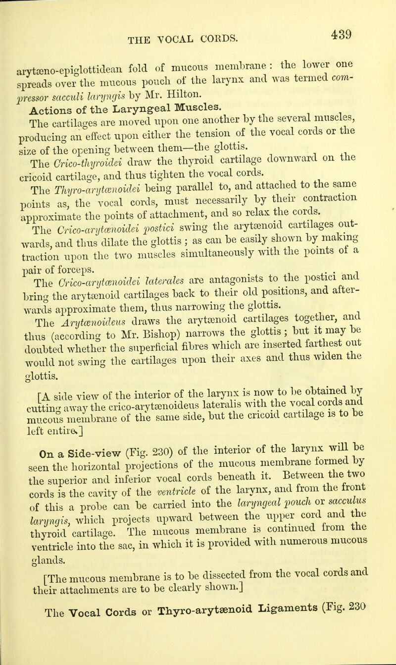 THE VOCAL COEDS. arytamo-epiglottidean fold of mucous membrane : the lower one spreads over the mucous pouch of the larynx and was termed com- pressor sacculi laryngis by Mr. Hilton. Actions of the Laryngeal Muscles. The cartilages are moved upon one another by the several muscles, producing an effect upon either the tension of the vocal cords or the size of the opening between them—the glottis. The Grieo-thyroidei draw the thyroid cartilage downward on the cricoid cartilage, and thus tighten the vocal cords. The Thyro-arytmnoidei being parallel to, and attached to the same points as, the vocal cords, must necessarily by their contraction approximate the points of attachment, and so relax the cords. The Crico-arytcenoidei postici swing the arytsenoid cartilages out- wards, and thus dilate the glottis ; as can he easily shown by making traction upon the two muscles simultaneously with the points ot a pair of forceps. _ . . , The Crico-arytcenoidei laterales are antagonists to the postici ana bring the arytsenoid cartilages back to their old positions, and after- wards approximate them, thus narrowing the glottis. The Arytasnoideus draws the arytsenoid cartilages together, and thus (according to Mr. Bishop) narrows the glottis; but it may be doubted whether the superficial fibres which are inserted farthest out would not swing the cartilages upon their axes and thus widen the glottis. [A side view of the interior of the larynx is now to he obtained by cutting away the crico-axytsenoideus lateralis with the vocal cords and mucous membrane of the same side, but the cricoid cartilage is to he left entire.] On a Side-view (Fig. 230) of the interior of the larynx will he seen the horizontal projections of the mucous membrane formed by the superior and inferior vocal cords beneath it. Between the two cords is the cavity of the ventricle of the larynx, and from the front of this a probe can he carried into the laryngeal pouch or sacculus laryngis, which projects upward hetween the upper cord and the thyroid cartilage. The mucous membrane is continued from the ventricle into the sac, in which it is provided with numerous mucous glands. [The mucous membrane is to be dissected from the vocal cords and their attachments are to be clearly shown.] The Vocal Cords or Thyro-arytsenoid Ligaments (Fig. 230