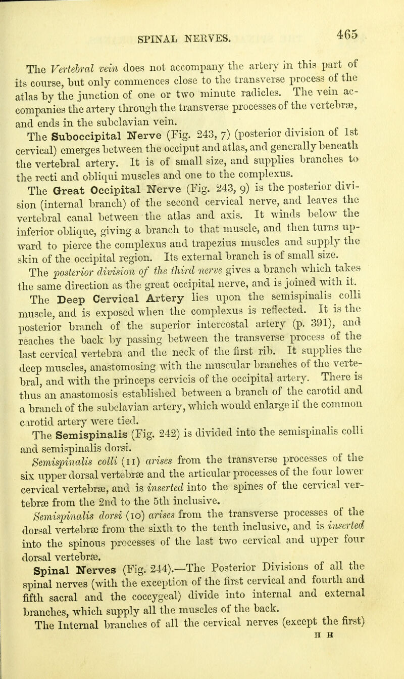 The Vertebral vein does not accompany the artery in this part of its course, but only commences close to the transverse process of the atlas by the junction of one or two minute radicles. The vein ac- companies the artery through the transverse processes of the vertebrae, and ends in the subclavian vein. The Suboccipital Nerve (Fig. 243, 7) (posterior division of 1st cervical) emerges between the occiput and atlas, and generally beneath the vertebral artery. It is of small size, and supplies branches to the recti and obliqui muscles and one to the complexus. The Great Occipital Nerve (Fig. 243, 9) is the posterior divi- sion (internal branch) of the second cervical nerve, and leaves the vertebral canal between the atlas and axis. It winds below the inferior oblique, giving a branch to that muscle, and then turns up- ward to pierce the complexus and trapezius muscles and supply the skin of the occipital region. Its external branch is of small size. The posterior division of the third nerve gives a branch which takes the same direction as the great occipital nerve, and is joined with it.^ The Deep Cervical Artery lies upon the semispinalis colli muscle, and is exposed when the complexus is reflected. It is the posterior branch of the superior intercostal artery (p. 391), and reaches the back by passing between the transverse process of the last cervical vertebra and the neck of the first rib. It supplies the deep muscles, anastomosing with the muscular branches of the verte- bral, and with the princeps cervicis of the occipital artery. There is thus an anastomosis established between a branch of the carotid and a branch of the subclavian artery, which would enlarge if the common, carotid artery were tied. The Semispinalis (Fig. 242) is divided into the semispinalis colli and semispinalis dorsi. Semispinalis colli (11) arises from the transverse processes of the six upper dorsal vertebrae and the articular processes of the four lower cervical vertebras, and is inserted into the spines of the cervical ver- tebrae from the 2nd to the 5th inclusive. Semispinalis dorsi (10) arises from the transverse processes ^ of the dorsal vertebras from the sixth to the tenth inclusive, and is inserted into the spinous processes of the last two cervical and upper four dorsal vertebras. Spinal Nerves (Fig. 244).—The Posterior Divisions of all the spinal nerves (with the'exception of the first cervical and fourth and fifth sacral and the coccygeal) divide into internal and external branches, which supply all the muscles of the back. The Internal branches of all the cervical nerves (except the first) H H