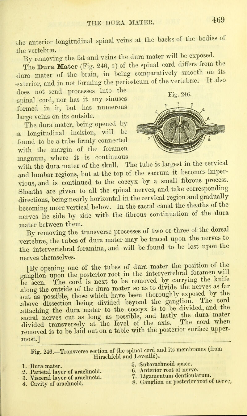 THE DURA MATER. the anterior longitudinal spinal veins at the hacks of the bodies of the vertebrsa. By removing the fat and veins the dura mater will be exposed. The Dura Mater (Fig. 246, i) of the spinal cord differs from the dura mater of the brain, in being comparatively smooth on its .exterior, and in not forming the periosteum of the vertebrae. It also does not send processes into the ^ ^ spinal cord, nor has it any sinuses formed in it, but has numerous large veins on its outside. The dura mater, being opened by a longitudinal incision, will be found to be a tube firmly connected with the margin of the foramen magnum, where it is continuous with the dura mater of the skull. The tube is largest in the cervical and lumbar regions, but at the top of the sacrum it becomes imper- vious, and is continued to the coccyx by a small fibrous process. Sheaths are given to all the spinal nerves, and take corresponding •directions, being nearly horizontal in the cervical region and gradually becoming more vertical below. In the sacral canal the sheaths of the nerves lie side by side with the fibrous continuation of the dura mater between them. By removing the transverse processes of two or three of the dorsal vertebra, the tubes of dura mater may be traced upon the nerves to the intervertebral foramina, and will be found to be lost upon the nerves themselves. TBv opening one of the tubes of dura mater the position of the ouUlion upon the posterior root in the intervertebral foramen will be seen. The cord is next to be removed by carrying the kmle .along the outside of the dura mater so as to divide the nerves as lar .out as possible, those which have been thoroughly exposed by the .above dissection being divided beyond the ganglion The cord .attaching the dura mater to the coccyx is to be divided, and tne sacral nerves cut as long as possible, and lastly the dura mater divided transversely at the level of the axis. The cord when removed is to be laid out on a table with the posterior surface upper- most.] . Fi°\ 246.—Transverse section of the spinal cord and its membranes (from Hirschfeld and Leveille). 1. Dura mater. 5. Subarachnoid space. 2. Parietal layer of arachnoid. 6. Anterior root ol nerve. 3. Visceral layer of arachnoid. 7. Ligamentum denticulatum. 4. Cavity of arachnoid. 8. Ganglion on posterior root of nerve..