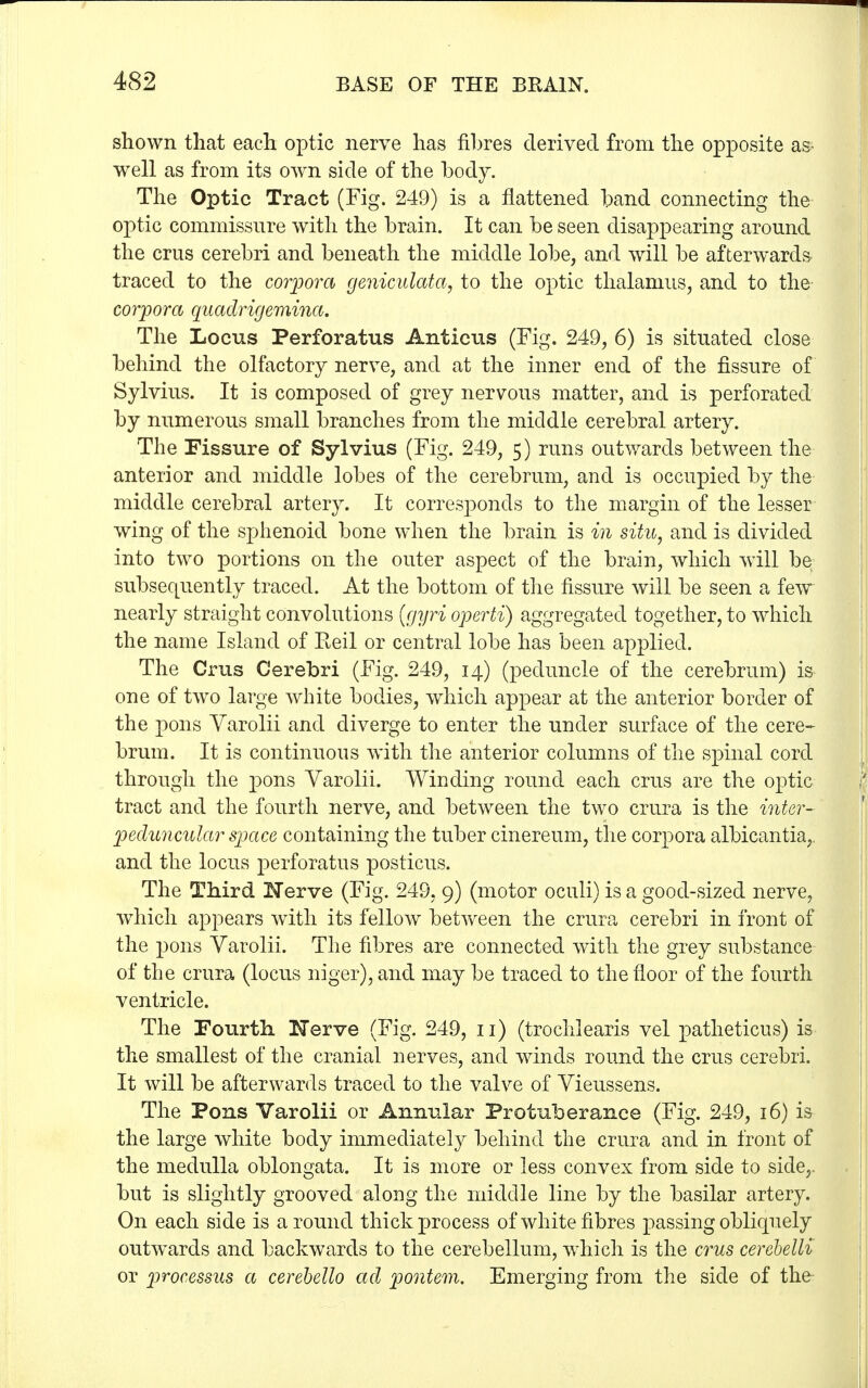 shown that each optic nerve has fibres derived from the opposite as- well as from its own side of the body. The Optic Tract (Fig. 249) is a flattened band connecting the optic commissure with the brain. It can be seen disappearing around the crus cerebri and beneath the middle lobe, and will be afterwards traced to the corpora geniculates, to the optic thalamus, and to the corpora quaclrigemina. The Locus Perforatus Anticus (Fig. 249, 6) is situated close behind the olfactory nerve, and at the inner end of the fissure of Sylvius. It is composed of grey nervous matter, and is perforated by numerous small branches from the middle cerebral artery. The Fissure of Sylvius (Fig. 249, 5) runs outwards between the anterior and middle lobes of the cerebrum, and is occupied by the- middle cerebral artery. It corresponds to the margin of the lesser wing of the sphenoid bone when the brain is in situ, and is divided into two portions on the outer aspect of the brain, which will be subsequently traced. At the bottom of the fissure will be seen a few nearly straight convolutions (gyri operti) aggregated together, to which the name Island of Reil or central lobe has been applied. The Crus Cerebri (Fig. 249, 14) (peduncle of the cerebrum) is one of two large white bodies, which appear at the anterior border of the pons Varolii and diverge to enter the under surface of the cere- brum. It is continuous with the anterior columns of the spinal cord through the pons Varolii. Winding round each crus are the optic tract and the fourth nerve, and between the two crura is the inter- peduncular space containing the tuber cinereum, the corpora albicantia,. and the locus perforatus posticus. The Third Nerve (Fig. 249, 9) (motor oculi) is a good-sized nerve, which apj3ears with its fellow between the crura cerebri in front of the pons Varolii. The fibres are connected with the grey substance of the crura (locus niger), and may be traced to the floor of the fourth ventricle. The Fourth Nerve (Fig. 249, 11) (trochlearis vel patheticus) is the smallest of the cranial nerves, and winds round the crus cerebri. It will be afterwards traced to the valve of Vieussens. The Pons Varolii or Annular Protuberance (Fig. 249, 16) is the large white body immediately behind the crura and in front of the medulla oblongata. It is more or less convex from side to side,, but is slightly grooved along the middle line by the basilar artery. On each side is around thick process of white fibres passing obliquely outwards and backwards to the cerebellum, which is the crus cerebelU or processus a cerebello ad pontem. Emerging from the side of the-