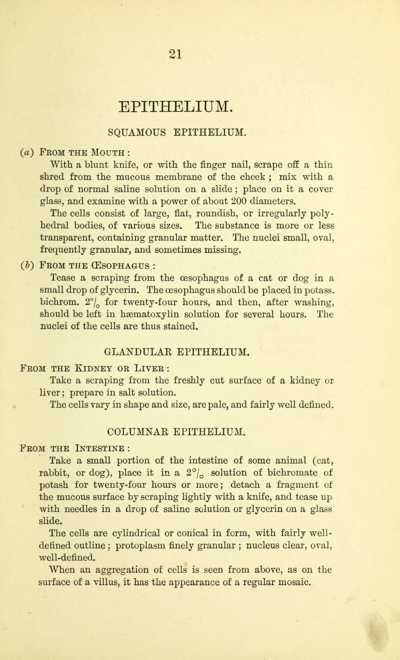 EPITHELIUM. SQUAMOUS EPITHELIUM. («) Fkom the Mouth : With a blunt knife, or with the finger nail, scrape off a thin shred from the mucous membrane of the cheek ; mix with a drop of normal saline solution on a slide ; place on it a cover glass, and examine with a power of about 200 diameters. The cells consist of large, flat, roundish, or irregularly poly- hedral bodies, of various sizes. The substance is more or less transparent, containing granular matter. The nuclei small, oval, frequently granular, and sometimes missing. (h) Feom the (Esophagus : Tease a scraping from the oesophagus of a cat or dog in a small drop of glycerin. The oesophagus should be placed in potass, bichrom. 2°/^ for twenty-four hours, and then, after washing, should be left in h^ematoxylin solution for several hours. The nuclei of the cells are thiis stained. GLANDULAR EPITHELIUM. Feom the Kidney or Liver: Take a scraping from the freshly cut surface of a kidney or liver; prepare in salt solution. The cells vary in shape and size, are pale, and fairly well defined, COLUMNAR EPITHELIUM. From the Intestine : Take a small portion of the intestine of some animal (cat, rabbit, or dog), place it in a 2°/^ solution of bichromate of potash for twenty-four hours or more; detach a fragment of the mucous surface by scraping lightly with a knife, and tease up with needles in a drop of saline solution or glycerin on a glass slide. The cells are cylindrical or conical in form, with fairly well- defined outline; protoplasm finely granular ; nucleus clear, oval, well-defined. When an aggregation of cells is seen from above, as on the surface of a villus, it has the appearance of a regular mosaic.
