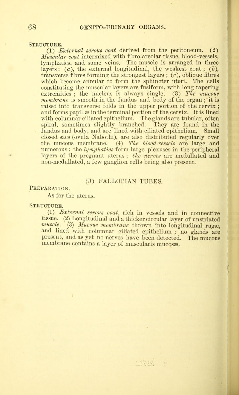 Structure. (1) External serous coat derived from the peritoneum. (2) Muscular coat intermixed with fibro-areolar tissue, blood-vessels, lymphatics, and some veins. The muscle is arranged in three layers: the external lono^itudinal, the w^eakest coat ; (&), transverse fibres forming the strongest layers ; (c), oblique fibres which become annular to form the sphincter uteri. The cells constituting the muscular layers are fusiform, with long tapering extremities ; the nucleus is always single. (3) Tlie mucous meuibrane is smooth in the fundus and body of the organ ; it is raised into transverse folds in the upper portion of the cervix ; and forms papilla in the terminal portion of the cervix. It is lined with columnar ciliated epithelium. The glands are tubular, often spiral, sometimes slightly branched. They are found in the fundus and body, and are lined with ciliated epithelium. Small closed sacs (ovula Nabothi), are also distributed regularly over the mucous membrane. (4) The blood-vessels are large and numerous ; the lymphatics form large plexuses in the peripheral layers of the pregnant uterus ; tlie nerves are medullated and non-medullated, a few ganglion cells being also present. (J) FALLOPIAN TUBES. Preparation. As for the uterus. Structure. (1) External serous coat, rich in vessels and in connective tissue. (2) Longitudinal and a thicker circular layer of unstriated muscle. (3) Mucous memhi ^ane thrown into longitudinal rugae, and lined with columnar ciliated epithelium ; no glands are present, and as yet no nerves have been detected. The mucous membrane contains a layer of muscularis mucosae.