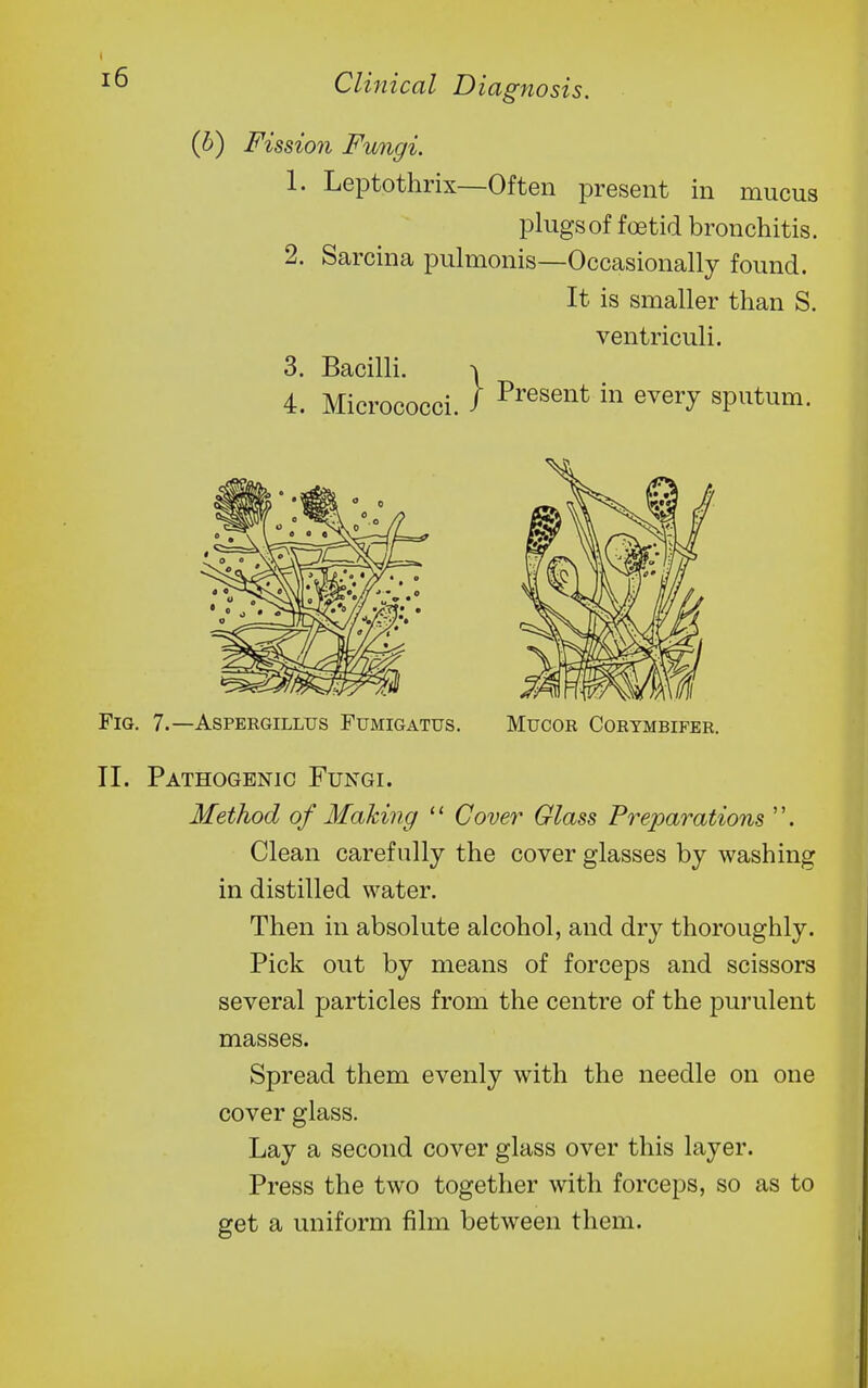 (b) Fission Fungi. 1. Leptothrix—Often present in mucus plugs of foetid bronchitis. 2. Sarcina pulmonis—Occasionally found. It is smaller than S. ventriculi. 3. Bacilli. ^ 4. Micrococci. / ^^^^^ ^P^^^^^- Fig. 7.—Aspergillus Fumigatus. Mucor Corymbifer. II. Pathogenic Fungi. Method of Making Com- Glass Preparations . Clean carefully the cover glasses by washing in distilled water. Then in absolute alcohol, and dry thoroughly. Pick out by means of forceps and scissors several particles from the centre of the purulent masses. Spread them evenly with the needle on one cover glass. Lay a second cover glass over this layer. Press the two together with forceps, so as to get a uniform film between them.