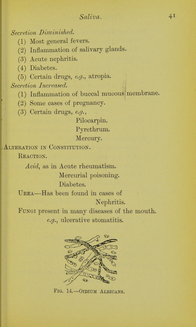 Secretion Diminished. (1) Most general fevers. (2) Inflammation of salivary glands. (3) Acute nephritis. (4) Diabetes. (5) Certain drugs, e.g., atropia. Sec7'etion Increased. ',\ (1) Inflammation of buccal mucous! membrane. (2) Some cases of pregnancy. (3) Certain drugs, e.g., Pilocarpin. Pyrethrum. Mercury. Alteration in Constitution. Reaction. Acid, as in Acute rheumatism. Mercurial poisoning. Diabetes. Urea—Has been found in cases of Nephritis. Fungi present in many diseases of the mouth. e.g., ulcerative stomatitis. Fig. 14.—Oidium Albicans.