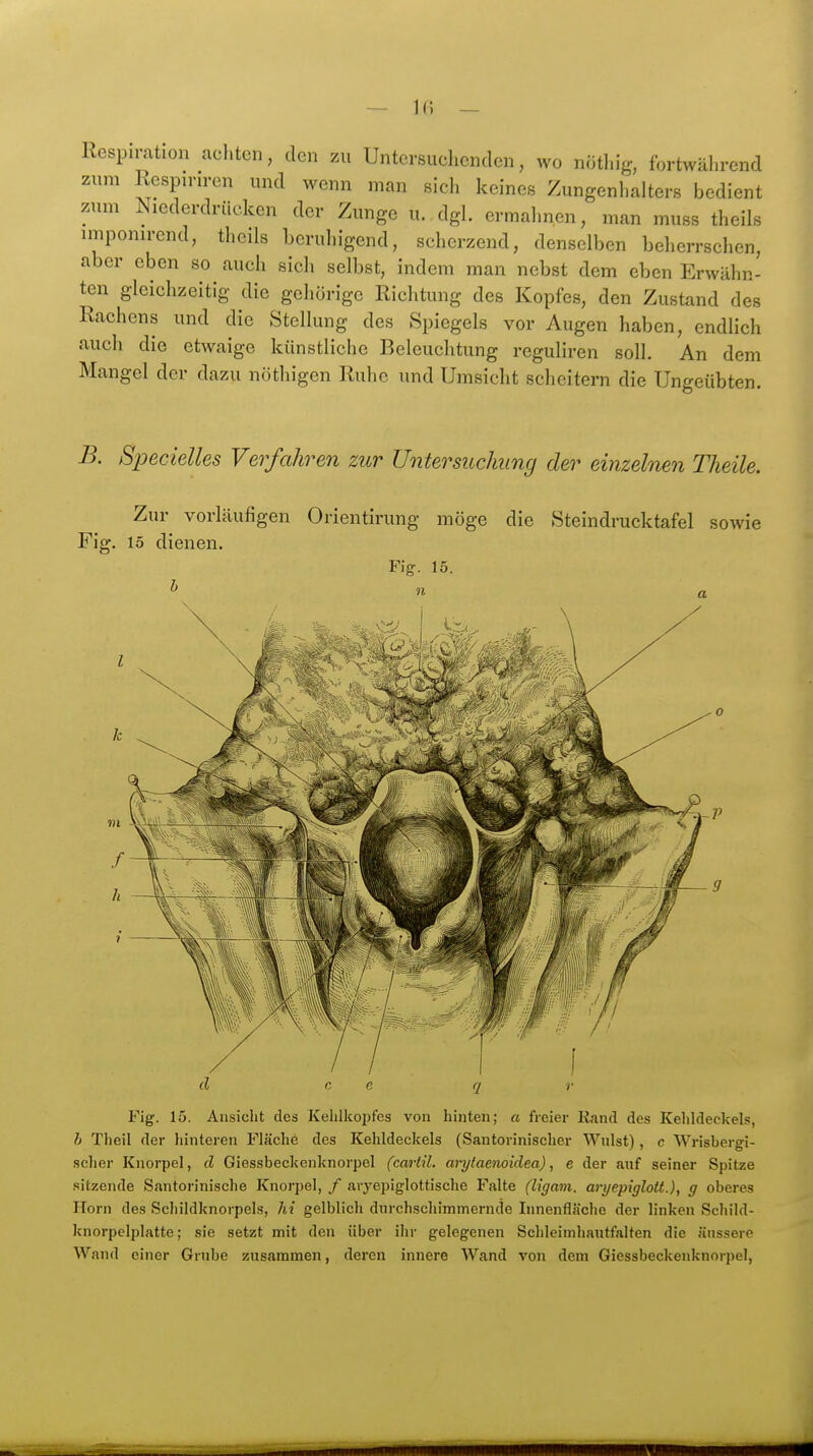 — Ifi — Respiration achten, den zu Untersuelienden, wo nötl.ig, fortwährend zum Resp.riren und wenn man sich keines Zungenhalters bedient zum Niederdrücken der Zunge u. dgl. ermahnen, man muss theils imponirend, theils beruhigend, scherzend, denselben beherrschen, aber eben so auch sich selbst, indem man nebst dem eben Erwähn- ten gleichzeitig die gehörige Richtung des Kopfes, den Zustand des Rachens und die Stellung des Spiegels vor Augen haben, endlich auch die etwaige künstliche Beleuchtung reguliren soll. An dem Mangel der dazu nöthigen Ruhe und Umsicht scheitern die Ungeübten. B. Specielles Verfahren zur Untersuchung der einzelnen Theile. Zur vorläufigen Orientirung möge die Steindrucktafel sowie Fig. 15 dienen. Fig. 15. d r. e q r Fig. 15. Ansicht des Kehllcoijfes von hinten; a freier Rand des Kehldeckels, b Theil der hinteren Fläche des Kehldeckels (Santorinischer Wnlst), c Wrisbergi- scher Knorpel, d Giessbeckenknorpel (cartü. arytaenoidea), e der auf seiner Spitze sitzende Santorinische Knorpel, / aryepiglottische Falte (ligam. aryeptglott.), g oberes ITorn des Schildknorpels, hi gelblich durchschimmernde Innenfläche der linken Schild- knorpelplatte; sie setzt mit den über ihr gelegenen Schleimhautfalten die äussere Wand einer Grube zusammen, deren innere Wand von dem Giessbeckenknorpel,