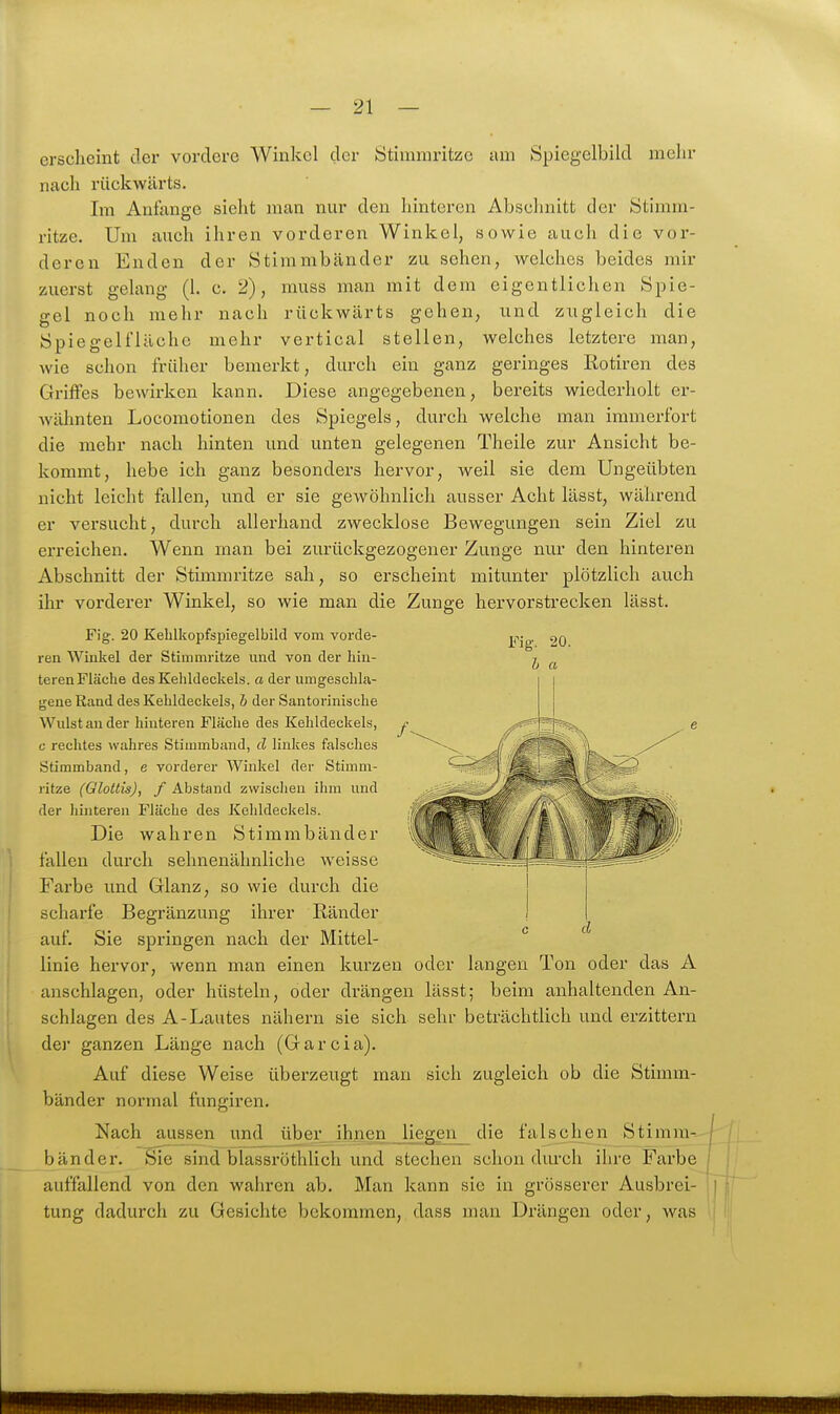 erscheint clor vordere Winkel der Stimmritze am Spiegelbild mehr nach rückwärts. Im Anfange sieht man nur den hinteren Abschnitt der Stimm- ritze. Um auch ihren vorderen Winkel, sowie auch die vor- deren Enden der Stimmbänder zu sehen, welches beides mir zuerst gelang (1. c. 2), muss man mit dem eigentlichen Spie- gel noch mehr nach rückwärts gehen, und zugleich die Spiegelfläche mehr vertical stellen, welches letztere man, wie schon früher bemerkt, durch ein ganz geringes Eotiren des Griffes bewirken kann. Diese angegebenen, bereits wiederholt er- AVähnten Locomotionen des Spiegels, durch welche man immerfort die mehr nach hinten und unten gelegenen Theile zur Ansicht be- kommt, hebe ich ganz besonders hervor, weil sie dem Ungeübten nicht leicht fallen, und er sie gewöhnlich ausser Acht lässt, während er versucht, durch allerhand zwecklose Bewegungen sein Ziel zu erreichen. Wenn man bei zurückgezogener Zunge nur den hinteren Abschnitt der Stimmritze sah, so erscheint mitunter plötzlich auch ihr vorderer Winkel, so wie man die Zunge hervorstrecken lässt. Fig. 20 Keblkopfspiegelbild vom vorde- ren Winkel der Stimmritze und von der hin- teren Fläche des Kehldeckels, a der umgeschla- gene Rand des Kehldeckels, h der Santorinische Wulst an der hinteren Fläche des Kehldeckels, c rechtes wahres Stimmband, d linkes falsches Stimmband, e vorderer Winkel der Stimm- ritze (Glottis), f Abstand zwischen ihm und der liintereu Fläche des Kehldeckels. Die wahren Stimmbänder fallen durch sehnenähnliche weisse Farbe und Glanz, so wie durch die scharfe Begränzung ihrer Ränder auf. Sie springen nach der Mittel- linie hervor, wenn man einen kurzen oder langen Ton oder das A anschlagen, oder hüsteln, oder drängen lässt; beim anhaltenden An- schlagen des A-Lautes nähern sie sich sehr beträchtlich und erzittern der ganzen Länge nach (Garcia). Auf diese Weise überzeugt man sich zugleich ob die Stimm- bänder normal fungiren. Nach aussen und über ihnen liegen die falsch^en Stimm- bänder. Sie sind blassi'öthlich und stechen schon durch ihre Farbe auffallend von den wahren ab. Man kann sie in grösserer Ausbrei- tung dadurch zu Gesichte bekommen, dass man Drängen oder, was
