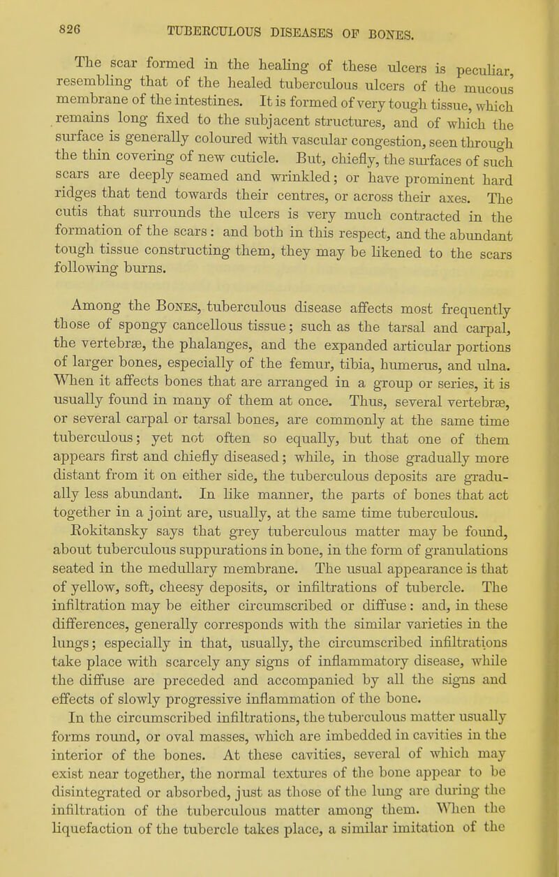 TUBEECULOUS DISEASES OP BONES. The scar formed in the heaHng of these ulcers is pecuHar resembling that of the healed tuberculous ulcers of the mucous membrane of the intestines. It is formed of very tough tissue, which remains^ long fixed to the subjacent structures, and of which the siuface is generally coloured with vascular congestion, seen through the thin covering of new cuticle. But, chiefly, the sm-faces of such scars are deeply seamed and wrinkled; or have prominent hard ridges that tend towards their centres, or across their axes. The cutis that surrounds the ulcers is very much contracted in the formation of the scars : and both in this respect, and the abundant tough tissue constructing them, they may be likened to the scars following burns. Among the Bones, tuberculous disease affects most frequently those of spongy cancellous tissue; such as the tarsal and carpal, the vertebrae, the phalanges, and the expanded articular portions of larger bones, especially of the femur, tibia, humerus, and ulna. When it affects bones that are arranged in a group or series, it is usually found in many of them at once. Thus, several vertebrae, or several carpal or tarsal bones, are commonly at the same time tuberculous; yet not often so equally, but that one of them appears first and chiefly diseased; wlaile, in those gradually more distant from it on either side, the tuberculous deposits are gradu- ally less abundant. In like manner, the parts of bones that act together in a joint are, usually, at the same time tuberculous. Rokitansky says that grey tuberculous matter may be foimd, about tuberculous suppurations in bone, in the form of granulations seated in the medullary membrane. The usual appearance is that of yellow, soft, cheesy deposits, or infiltrations of tubercle. The infiltration may be either circumscribed or diffuse: and, in these differences, generally corresponds with the similar varieties in the lungs; especially in that, usually, the circumscribed infiltrations take place with scarcely any signs of inflammatory disease, while the diffuse are preceded and accompanied by all the sig-ns and effects of slowly progressive inflammation of the bone. In the circumscribed infiltrations, the tuberculous matter usually forms round, or oval masses, which are imbedded in ca^dties in the interior of the bones. At these cavities, several of which may exist near together, the normal textures of the bone appeal* to be disintegrated or absorbed, just as those of the lung are dm-iug the infiltration of the tuberculous matter among them. When the liquefaction of the tubercle takes place, a similar imitation of the