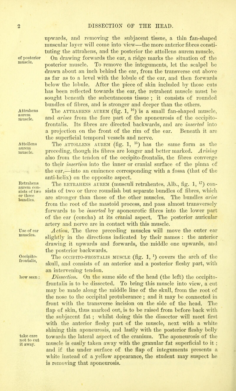 of posterior muscle. Attrahens aurem muscle. Attollens aurem muscle. Ketraliens aurem con- sists of two or three bundles. Use of ear muscles. Occipito- frontalis, how seen: take care not to cut it away. upwards, and removing the subjacent tissue, a thin fan-shaped muscular layer will come into view—the more anterior fibres consti- tuting the attrahens, and the posterior the attollens aurem muscle. On drawing forwards the ear, a ridge marks the situation of the posterior muscle. To remove the integuments, let the scalpel be drawn about an inch behind the ear, from the transverse cut above as far as to a level with the lobule of the ear, and then forwards below the lobule. After the piece of skin included by those cuts has been reflected towards the ear, the retrahent muscle must be sought beneath the subcutaneous tissue ; it consists of rounded bundles of fibres, and is stronger and deeper than the others. The attrahens aurem (fig. 1, 16) is a small fan-shaped muscle, and arises from the fore part of the aponeurosis of the occipito- frontalis. Its fibres are directed backwards, and are inserted into a projection on the front of the rim of the ear. Beneath it are the superficial temporal vessels and nerve. The attollens aurem (fig. 1, 15) has the same form as the preceding, though its fibres are longer and better marked. Arising also from the tendon of the occipito-frontalis, the fibres converge to their insertion into the inner or cranial surface of the pinna of the ear,—into an eminence corresponding with a fossa (that of the anti-helix) on the opposite aspect. The retrahens aurem (musculi retrahentes. Alb., fig. 1, 17) con- sists of two or three roundish but separate bundles of fibres, which are stronger than those of the other muscles. The bundles arise from the root of the mastoid process, and pass almost transversely forwards to be inserted by aponeurotic fibres into the lower part of the ear (concha) at its cranial aspect. The posterior auricular artery and nerve are in contact with this muscle. Action. The three preceding muscles will move the outer ear slightly in the directions indicated by their names : the anterior drawing it upwards and forwards, the middle one upwards, and the posterior backwards. The occipito-frontalis muscle (fig. 1, *) covers the arch of the skull, and consists of an anterior and a posterior fleshy part, with an intervening tendon. Dissection. On the same side of the head (the left) the occipito- frontalis is to be dissected. To bring this muscle into view, a cut may be made along the middle line of the skull, from the root of the nose to the occipital protuberance ; and it may be connected in front with the transverse incision on the side of the head. The flap of skin, thus marked out, is to be raised from before back with the subjacent fat ; whilst doing this the dissector will meet first with the anterior fleshy part of the muscle, next with a white shining thin aponeurosis, and lastly with the posterior fleshy belly towards the lateral aspect of the cranium. The aponeurosis of the muscle is easily taken away with the granular fat superficial to it ; and if the under surface of the flap of integuments presents a white instead of a yellow appearance, the student may suspect he is removing that aponeurosis.
