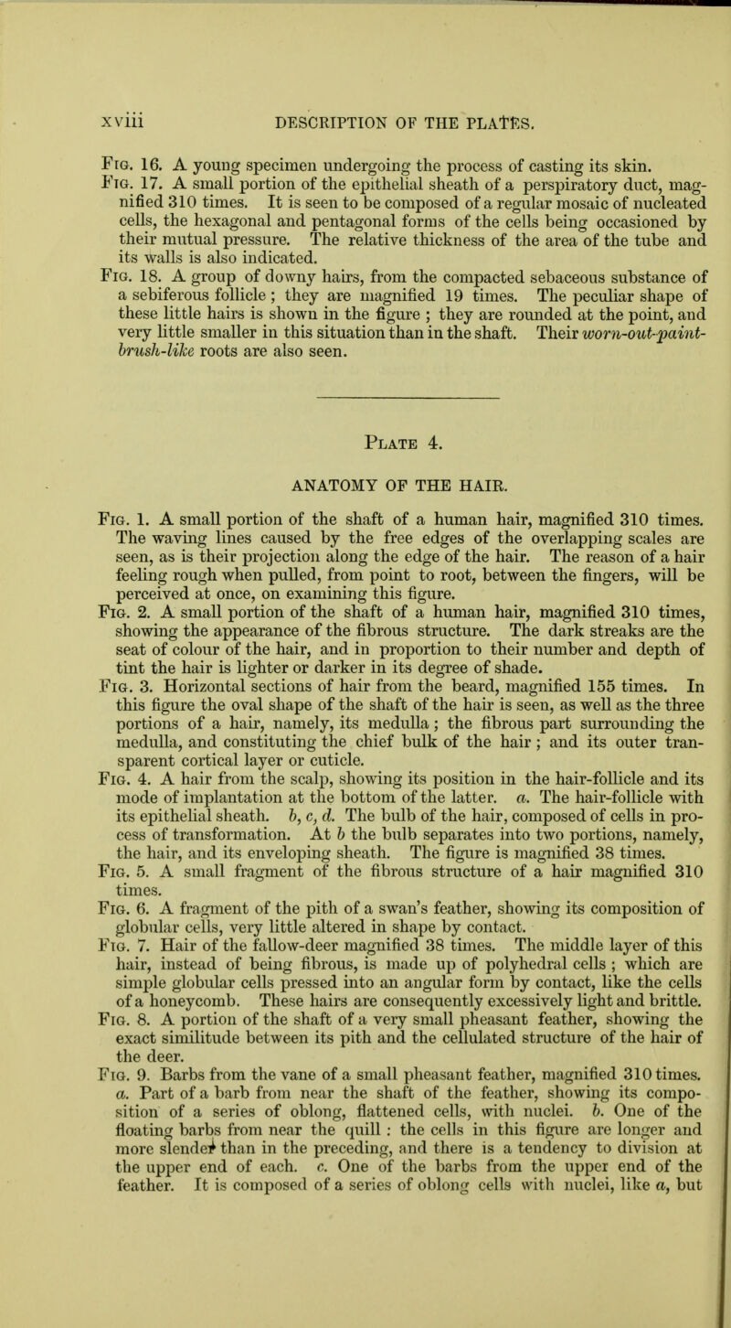 Fig. 16. A young specimen undergoing the process of casting its skin. Ftg. 17. A small portion of the epithelial sheath of a perspiratory duct, mag- nified 310 times. It is seen to be composed of a regular mosaic of nucleated cells, the hexagonal and pentagonal forms of the cells being occasioned by their mutual pressure. The relative thickness of the area of the tube and its walls is also indicated. Fig. 18. A group of downy hairs, from the compacted sebaceous substance of a sebiferous follicle ; they are magnified 19 times. The peculiar shape of these little hairs is shown in the figure ; they are rounded at the point, and very little smaller in this situation than in the shaft. Their worn-out-faint- brush-like roots are also seen. Plate 4. ANATOMY OF THE HAIR. Fig. 1. A small portion of the shaft of a human hair, magnified 310 times. The waving lines caused by the free edges of the overlapping scales are seen, as is their projection along the edge of the hair. The reason of a hair feeling rough when pulled, from point to root, between the fingers, will be perceived at once, on examining this figure. Fig. 2. A small portion of the shaft of a human hair, magnified 310 times, showing the appearance of the fibrous structure. The dark streaks are the seat of colour of the hair, and in proportion to their number and depth of tint the hair is lighter or darker in its degree of shade. Fig. 3. Horizontal sections of hair from the beard, magnified 155 times. In this figure the oval shape of the shaft of the hair is seen, as well as the three portions of a hair, namely, its medulla; the fibrous part surrounding the medulla, and constituting the chief bulk of the hair; and its outer tran- sparent cortical layer or cuticle. Fig. 4. A hair from the scalp, showing its position in the hair-follicle and its mode of implantation at the bottom of the latter, a. The hair-follicle with its epithelial sheath, b, c, d. The bulb of the hair, composed of cells in pro- cess of transformation. At b the bulb separates into two portions, namely, the hair, and its enveloping sheath. The figure is magnified 38 times. Fig. 5. A small fragment of the fibrous structure of a hair magnified 310 times. Fig. 6. A fragment of the pith of a swan's feather, showing its composition of globular cells, very little altered in shape by contact. Fig. 7. Hair of the fallow-deer magnified 38 times. The middle layer of this hair, instead of being fibrous, is made up of polyhedral cells ; which are simple globular cells pressed into an angular form by contact, like the cells of a honeycomb. These hairs are consequently excessively light and brittle. Fig. 8. A portion of the shaft of a very small pheasant feather, showing the exact similitude between its pith and the cellulated structure of the hair of the deer. Fig. 9. Barbs from the vane of a small pheasant feather, magnified 310 times. a. Part of a barb from near the shaft of the feather, showing its compo- sition of a series of oblong, flattened cells, with nuclei, b. One of the floating barbs from near the quill : the cells in this figure are longer and more slendei^ than in the preceding, and there is a tendency to division at the upper end of each. c. One of the barbs from the upper end of the feather. It is composed of a series of oblong cells with nuclei, like a, but