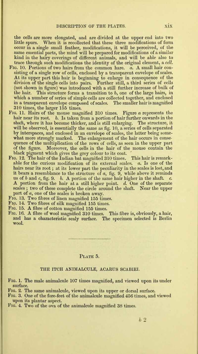 the cells are more elongated, and are divided at the upper end into two little spurs. When it is recollected that these three modifications of form occur in a single small feather, modifications, it will be perceived, of the same essential parts, the mind will be prepared for modifications of a similar kind in the hairy coverings of different animals, and will be able also to trace through such modifications the identity of the original element, a cell. Fig. 10. Portions of two hairs from the common hare. a. A small hair con- sisting of a single row of cells, enclosed by a transparent envelope of scales. At its upper part this hair is beginning to enlarge in consequence of the division of the single cells into pairs. Further still, a third series of cells (not shown in figure) was introduced with a still further increase of bulk of the hair. This structure forms a transition to 6, one of the large hairs, in which a number of series of simple cells are collected together, and enclosed in a transparent envelope composed of scales. The smaller hair is magnified 310 times, the larger 155 times. Fig. 11. Hairs of the mouse magnified 310 times. Figure a represents the hair near its root. b. Is taken from a portion of hair further onwards in the shaft, where it has become thicker, and is still enlarging. The structure, it will be observed, is essentially the same as fig. 10, a series of cells separated by interspaces, and enclosed in an envelope of scales, the latter being some- what more strongly marked. The enlargement of the hair occurs in conse- quence of the multiplication of the rows of cells, as seen in the upper part of the figure. Moreover, the cells in the hair of the mouse contain the black pigment which gives the grey colour to its coat. Fig. 12. The hair of the Indian bat magnified 310 times. This hair is remark- able for the curious modification of its external scales, a. Is one of the hairs near its root; at its lower part the peculiarity in the scales is lost, and it bears a resemblance to the structure of a, fig. 9, while above it reminds us of b and c, fig. 9. b. A portion of the same hair higher in the shaft, c. A portion from the hair at a still higher point, d. One of the separate scales ; two of these complete the circle around the shaft. Near the upper part of a, one of the scales is broken away. Fig. 13. Two fibres of linen magnified 155 times. Fig. 14. Two fibres of silk magnified 155 times. Fig. 15. A fibre of cotton magnified 155 times. Fig. 16. A fibre of wool magnified 310 times. This fibre is, obviously, a hair, and has a characteristic scaly surface. The specimen selected is Berlin wool. Plate 5. THE ITCH ANIMALCULE, ACARUS SCABIEI. Fig. 1. The male animalcule 107 times magnified, and viewed upon its under surface. Fig. 2. The same animalcule, viewed upon its upper or dorsal surface. Fig. 3. One of the fore-feet of the animalcule magnified 456 times, and viewed upon its plantar aspect. Fig. 4. Two of the ova of the animalcule magnified 38 times, b 2
