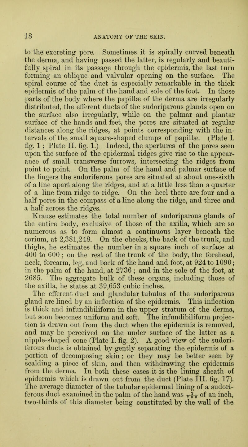 to the excreting pore. Sometimes it is spirally curved beneath the derma, and having passed the latter, is regularly and beauti- fully spiral in its passage through the epidermis, the last turn forming an oblique and valvular opening on the surface. The spiral course of the duct is especially remarkable in the thick epidermis of the palm of the hand and sole of the foot. In those parts of the body where the papillae of the derma are irregularly distributed, the efferent ducts of the sudoriparous glands open on the surface also irregularly, while on the palmar and plantar surface of the hands and feet, the pores are situated at regular distances along the ridges, at points corresponding with the in- tervals of the small square-shaped clumps of papillse. (Plate I. fig. 1; Plate II. fig. 1.) Indeed, the apertures of the pores seen upon the surface of the epidermal ridges give rise to the appear- ance of small transverse furrows, intersecting the ridges from point to point. On the palm of the hand and palmar surface of the fingers the sudoriferous pores are situated at about one-sixth of a line apart along the ridges, and at a little less than a quarter of a line from ridge to ridge. On the heel there are four and a half pores in the compass of a line along the ridge, and three and a half across the ridges. Krause estimates the total number of sudoriparous glands of the entire body, exclusive of those of the axilla, which are so numerous as to form almost a continuous layer beneath the corium, at 2,381,248. On the cheeks, the back of the trunk, and thighs, he estimates the number in a square inch of surface at 400 to 600; on the rest of the trunk of the body, the forehead, neck, forearm, leg, and back of the hand and foot, at 924 to 1090; in the palm of the hand, at 2736 ; and in the sole of the foot, at 2685. The aggregate bulk of these organs, including those of the axilla, he states at 39,653 cubic inches. The efferent duct and glandular tubulus of the sudoriparous gland are lined by an inflection of the epidermis. This inflection is thick and infundibiliform in the upper stratum of the derma, but soon becomes uniform and soft. The infundibiliform projec- tion is drawn out from the duct when the epidermis is removed, aud may be perceived on the under surface of the latter as a nipple-shaped cone (Plate I. fig. 2). A good view of the sudori- ferous ducts is obtained by gently separating the epidermis of a portion of decomposing skin ; or they may be better seen by scalding a piece of skin, and then withdrawing the epidermis from the derma. In both these cases it is the lining sheath of epidermis which is drawn out from the duct (Plate III. fig. 17). The average diameter of the tubular epidermal lining of a sudori- ferous duct examined in the palm of the hand was T£o of an inch, two-thirds of this diameter being constituted by the wall of the