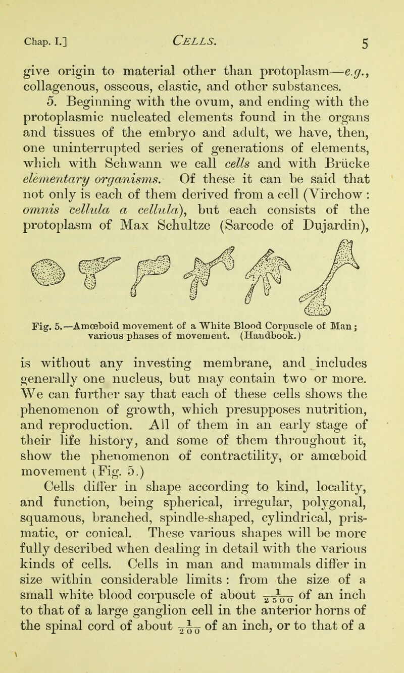 give origin to material other than protoplasm—e.g.^ collagenous, osseous, elastic, and other substances. 5. Beginning with the ovum, and ending with the protoplasmic nucleated elements found in the organs and tissues of the embryo and adult, we have, then, one uninterrupted series of generations of elements, which with Schwann we call cells and with Briicke elementary organisms. Of these it can be said that not only is each of them derived from a cell (Yirchow : omiiis cellula a celhda), but each consists of the protoplasm of Max Schultze (Sarcode of Dujardin), Fig. 5.—Amoeboid movement of a White Blood Corpuscle of Man; various phases of movement. (Handbook.) is without any investing membrane, and includes generally one nucleus, but may contain two or more. We can further say that each of these cells shows the phenomenon of growth, which presupposes nutrition, and reproduction. All of them in an early stage of their life history^ and some of them throughout it, show the phenomenon of contractility, or amoeboid movement (^Fig. 5.) Cells differ in shape according to kind, locality, and function, being spherical, irregular, polygonal, squamous, branched, spindle-shaped, cylindrical, pris- matic, or conical. These various shapes will be more fully described when dealing in detail with the various kinds of cells. Cells in man and mammals differ in size within considerable limits : from the size of a small white blood corpuscle of about ^^-/o o inch to that of a large ganglion cell in the anterior horns of the spinal cord of about of an inch, or to that of a