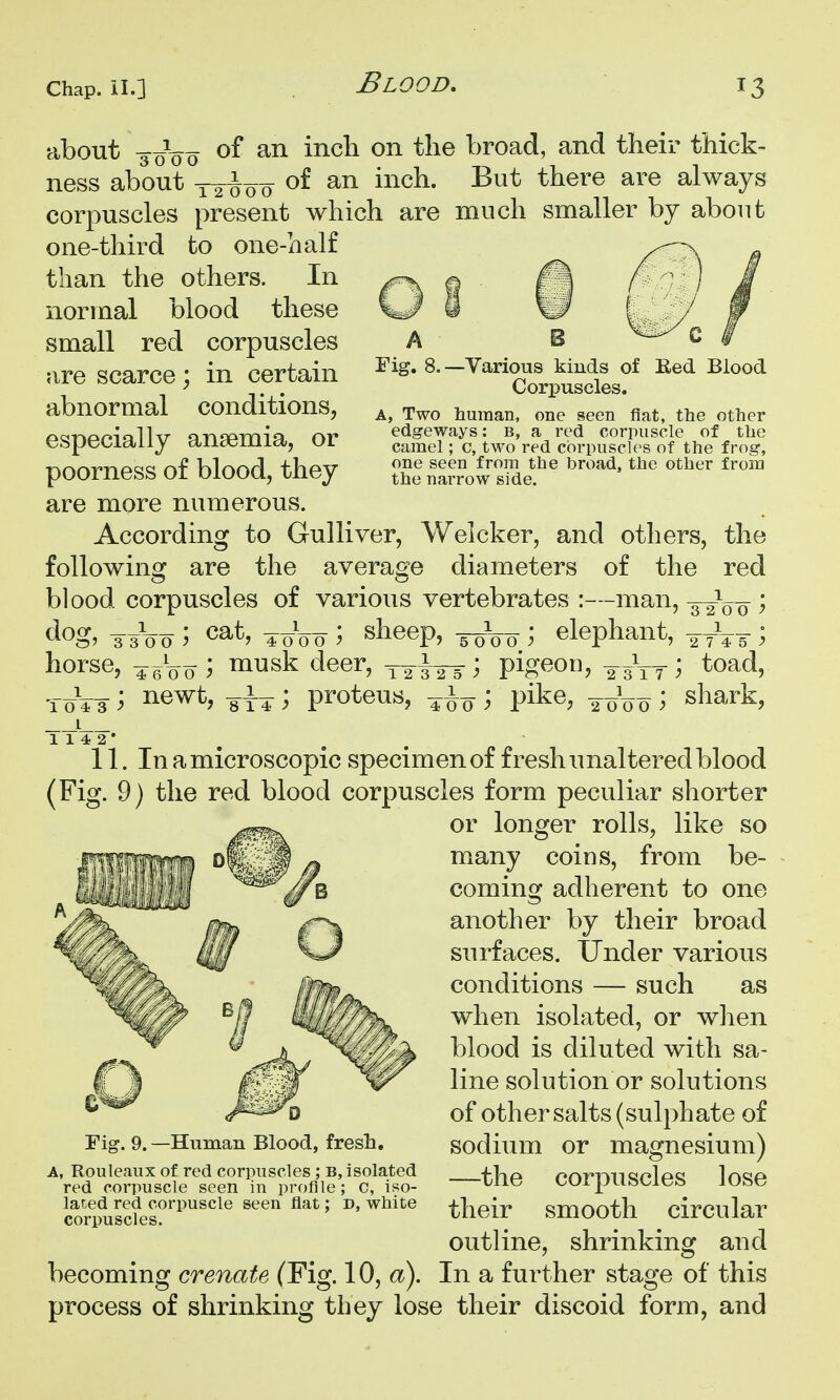 A Fig. 8.- about -3 ^^^^ broad, and their thick- ness about T2^o0 ^1^^^- always corpuscles present which are much smaller by about one-third to one-half ^ than the others. In normal blood these small red corpuscles are scarce; in certain abnormal conditions, especially anaemia, or poorness of blood, they are more numerous. According to Gulliver, Welcker, and others, the following are the average diameters of the red blood corpuscles of various vertebrates :—man, -32^0-0 ; ^^o' 3sVo'') Woo ^ sheep, -5-0V0 \ elephant, -2^45 ^ horse, ^ ; musk deer, ; pigeon, -^^-^ ; toad, ; proteus, ^ pi^e, ^ 0^ B C I Various kinds of Eed Blood Corpuscles. A, Two human, one seen fiat, tlie other edgeways: b, a red corpuscle of tlie camel; c, two red corpuscles of the frog, one seen from the broad, the other from the narrow side. newt, shark, 11. In a microscopic specimen of fresh unaltered blood (Fig. 9) the red blood corpuscles form peculiar shorter or longer rolls, like so many coins, from be- coming adherent to one another by their broad surfaces, tinder various conditions — such as when isolated, or when blood is diluted with sa- line solution or solutions of other salts (sulphate of sodium or magnesium) —the corpuscles lose their smooth circular outline, shrinking and becoming crenate (Fig. 10, a). In a further stage of this process of shrinking they lose their discoid form, and Fig. 9. —Human Blood, fresh, A, Rouleaux of red corpuscles; b, isolated red corpuscle seen in profile; C, iso- lated red corpuscle seen flat; d, white corpuscles.