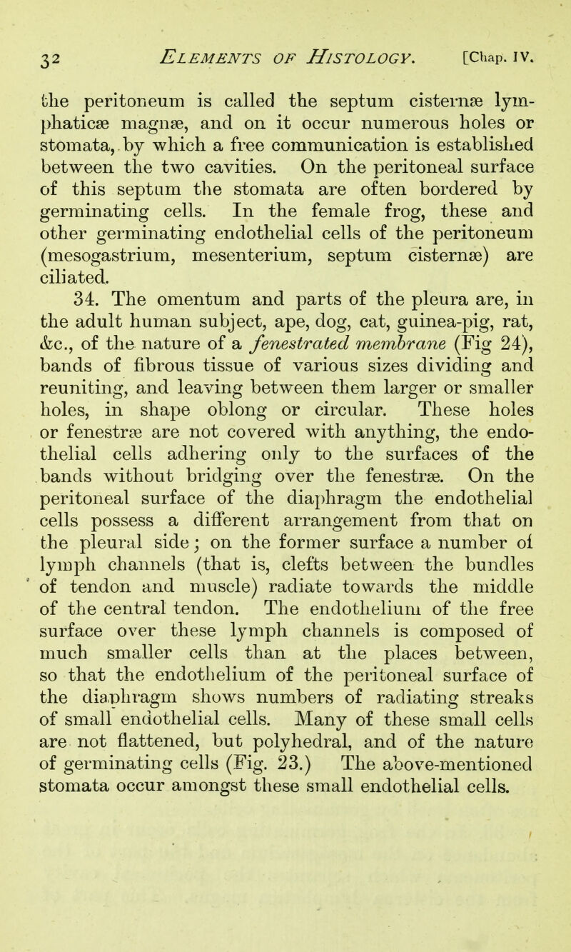 the peritoneum is called the septum cisternse lym- phaticse magnae, and on it occur numerous holes or stomata, by which a free communication is established between the two cavities. On the peritoneal surface of this septum the stomata are often bordered by germinating cells. In the female frog, these and other germinating endothelial cells of the peritoneum (mesogastrium, mesenterium, septum cisternae) are ciliated. 34. The omentum and parts of the pleura are, in the adult human subject, ape, dog, cat, guinea-pig, rat, (fee, of the nature of a fenestrated memhrane (Fig 24), bands of fibrous tissue of various sizes dividing and reuniting, and leaving between them larger or smaller holes, in shape oblong or circular. These holes or fenestrae are not covered with anything, the endo- thelial cells adhering only to the surfaces of the bands without bridging over the fenestrse. On the peritoneal surface of the dia];)hragm the endothelial cells possess a different arrangement from that on the pleural side; on the former surface a number oi lymph channels (that is, clefts between the bundles of tendon and muscle) radiate towards the middle of the central tendon. The endothelium of the free surface over these lymph channels is composed of much smaller cells than at the places between, so that the endothelium of the peritoneal surface of the diaphragm shows numbers of radiating streaks of small endothelial cells. Many of these small cells are not flattened, but polyhedral, and of the nature of germinating cells (Fig. 23.) The above-mentioned stomata occur amongst these small endothelial cells.