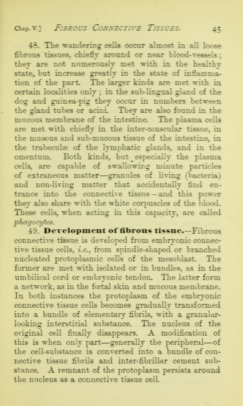 OiapuV.] Fibrous Cosyi ^S. Tie wandering cells occnr almost in all L>:»se rbrous tissues, chiefly aronnd or near blood-vessels ; :hey are nofe numerously met witii in the healthy state^ but increase greatly in the state of intlamma- tion of the part- The larger kinds are met with in certain localities only : in the snb-lingnal gland of the do^ and gninea-pig they occur in numbers between the gland tubes or acini They are also found in the mucous membrane of the intestine. The plasma cells are met with chiefly in the inter-muscular tissue, in the mnoous and sub-mucous tissue of the intestine, in the trabecuhe of the lymphatic glands, and in the omentum. Both kinds, but ^ especially the plasma cells, are capable of swallowing minute particles of extraneous matter—granules of living (bacteria) and non-living matter that accidentally find en- trance into the connective tissue—and this power they also share with the white corpuscles of the blood. These cells, when acting in this capacity, are called phagocytes. 49. Development of fibron$ ti^$ae.—Fibrous connective tissn-r is :if~ri:^e:l frin. embryonic connec- tive tissue cells, Lf., from spindle-shaped or branched nucleated protoplasmic cells of the mesoblast. The former are met with isolated or in bundles, as in the umbilical cord or embryonic tendom The latter form a network, as in the fcetal skin and mucous membrane. In both instances the protoplasm of the embryonic connective tissue cells becomes gradually transformed into a bundle of elementary fibrils, with a granular- looking interstitial substance. The nucleus of the onginal cell finally disappears. A modification of this is when only part—generally the peripheral—of the cell-substance is converted into a bundle of con- nective tissue fibrils and inter-fibrillar cement sub- stance. A i^mnant of the protoplasm persists around the nucleus as a connective tissue cell.