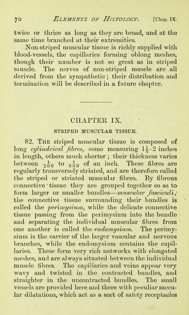 twice or thrice as long as they are broad, and at the same time branched at their extremities. Non-striped muscular tissue is richly supplied with blood-vessels, the capillaries forming oblong meshes, though their number is not so great as in striped muscle. The nerves of non-striped muscle are all derived from the sympathetic; their distribution and termination will be described in a future chapter. CHAPTER IX. STRIPED MUSCULAR TISSUE. 82. The striped muscular tissue is composed of long cylindrical fibres^ some measuring 1^-2 inches in length, others much shorter ; their thickness varies between -^^q to of an inch. These fibres are regularly transversely striated, and are therefore called the striped or striated muscular fibres. By fibrous connective ' tissue they are grouped together so as to form larger or smaller bundles—muscular fasciculi; the connective tissue surrounding their bundles is called the perimysiufn^ while the delicate connective tissue passing from the perimysium into the bundle and separating the individual muscular fibres from one another is called the endomysium. The perimy- sium is the carrier of the larger vascular and nervous branches, while the endomysium contains the capil- laries. These form very rich networks with elongated meshes, and are always situated between the individual muscle fibres. The capillaries and veins ap[)ear very wavy and twisted in the contracted bundles, and straighter in the uncontracted bundles. The small vessels are provided here and there with peculiar saccu- lar dilatations, which act as a sort of safety receptacles