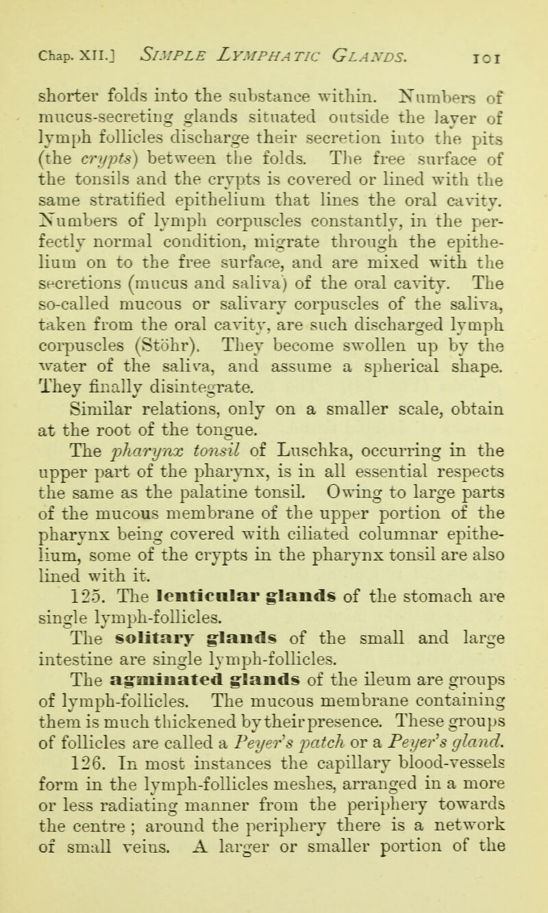 ICI shorter folds into the substance within. Xunibers of mucus-secreting glands situated outside the layer of lymph follicles discharge their secretion into the pits (the crypts) between the folds. The free surface of the tonsils and the crypts is covered or lined with the same stratified epithelium that lines the oral caWty. Numbers of lymph corpuscles constantly, in the per- fectly normal condition, migrate through the epithe- lium on to the free surface, and are mixed with the secretions (mucus and saliva) of the oral caA^ity. The so-called mucous or salivary corpuscles of the saliva, taken from the oral cavity, are such discharged lymph corpuscles (Stohr). They become swollen up by the water of the saliva, and assume a spherical shape. They finally disintegrate. Similar relations, only on a smaller scale, obtain at the root of the tongue. The pharynx tonsil of Luschka, occurring in the upper part of the phar\Tix, is in all essential respects the same as the palatine tonsil. Owing to large parts of the mucous membrane of the upper portion of the pharynx being covered with ciliated columnar epithe- lium, some of the crypts in the pharynx tonsil are also lined with it. 125. The lenticular glands of the stomach are single lymph-follicles. The solitary glands of the small and large intestine are single lymph-follicles. The agminated glands of the ileum are groups of lymph-follicles. The mucous membrane containing them is much thickened by their presence. These groups of follicles are called a Peyer's patch or a Peyer's gland. 126. In most instances the capillary blood-vessels form in the lymph-follicles meshes, arranged in a more or less radiating manner from the periphery towards the centre ; around the periphery there is a network of small veins. A larger or smaller portion of the