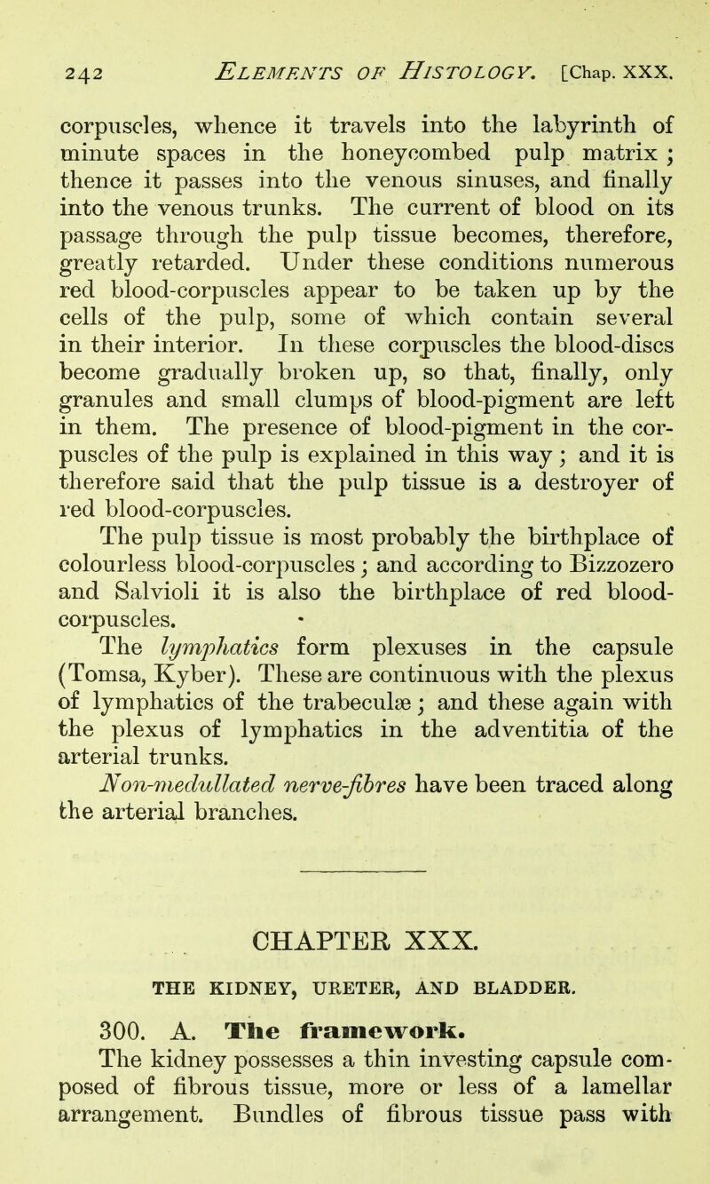 corpuscles, whence it travels into the labyrinth of minute spaces in the honeycombed pulp matrix ; thence it passes into the venous sinuses, and finally into the venous trunks. The current of blood on its passage through the pulp tissue becomes, therefore, greatly retarded. Under these conditions numerous red blood-corpuscles appear to be taken up by the cells of the pulp, some of which contain several in their interior. In these corpuscles the blood-discs become gradually broken up, so that, finally, only granules and small clumps of blood-pigment are left in them. The presence of blood-pigment in the cor- puscles of the pulp is explained in this way; and it is therefore said that the pulp tissue is a destroyer of red blood-corpuscles. The pulp tissue is most probably the birthplace of colourless blood-corpuscles; and according to Bizzozero and Salvioli it is also the birthplace of red blood- corpuscles. The lymphatics form plexuses in the capsule (Tomsa, Kyber). These are continuous with the plexus of lymphatics of the trabeculse; and these again with the plexus of lymphatics in the adventitia of the arterial trunks. Non-medullated nerve-fibres have been traced along the arterial branches. CHAPTER XXX. THE KIDNEY, URETER, AND BLADDER. 300. A. The framework. The kidney possesses a thin investing capsule com- posed of fibrous tissue, more or less of a lamellar arrangement. Bundles of fibrous tissue pass with