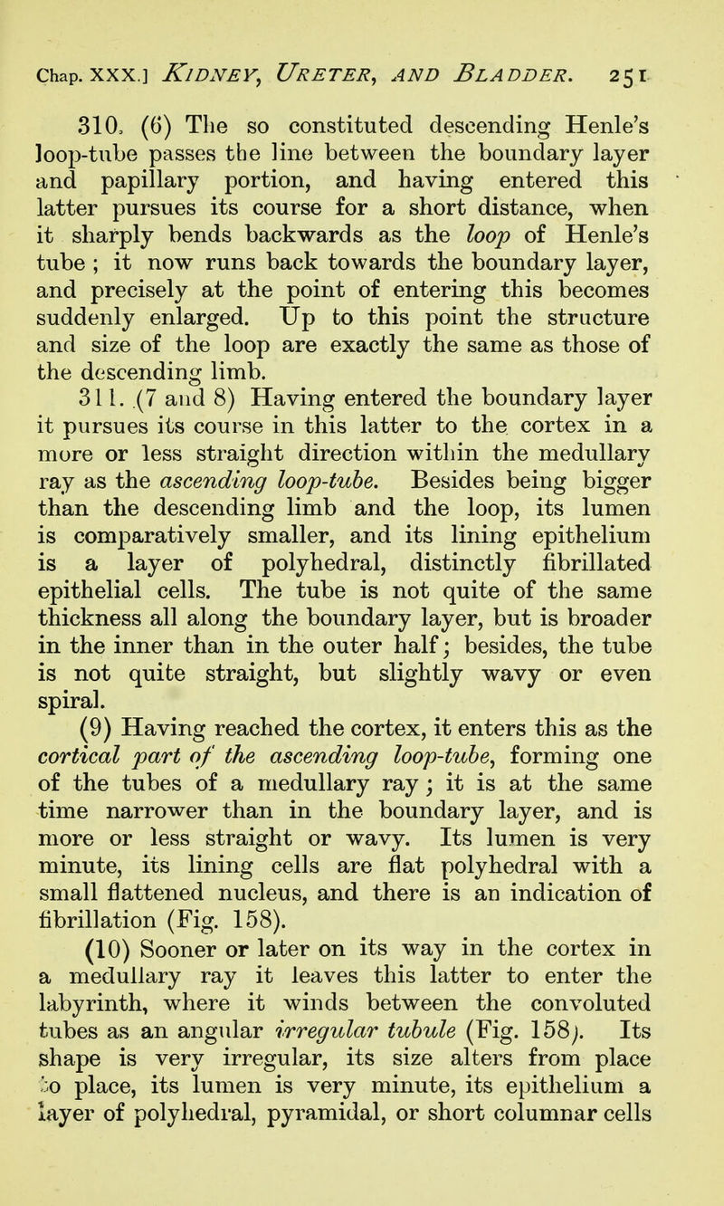 310, (6) The so constituted descending Henle's ]oop-tube passes the line between the boundary layer and papillary portion, and having entered this latter pursues its course for a short distance, when it sharply bends backwards as the loop of Henle's tube ; it now runs back towards the boundary layer, and precisely at the point of entering this becomes suddenly enlarged. Up to this point the structure and size of the loop are exactly the same as those of the descending limb. 311. (7 and 8) Having entered the boundary layer it pursues its course in this latter to the cortex in a more or less straight direction within the medullary ray as the ascending loop-tube. Besides being bigger than the descending limb and the loop, its lumen is comparatively smaller, and its lining epithelium is a layer of polyhedral, distinctly fibrillated epithelial cells. The tube is not quite of the same thickness all along the boundary layer, but is broader in the inner than in the outer half; besides, the tube is not quite straight, but slightly wavy or even spiral. (9) Having reached the cortex, it enters this as the cortical part of the ascending loop-tube, forming one of the tubes of a medullary ray; it is at the same time narrower than in the boundary layer, and is more or less straight or wavy. Its lumen is very minute, its lining cells are flat polyhedral with a small flattened nucleus, and there is an indication of flbrillation (Fig. 158). (10) Sooner or later on its way in the cortex in a medullary ray it leaves this latter to enter the labyrinth, where it winds between the convoluted tubes as an angular irregular tubule (Fig. 158j. Its shape is very irregular, its size alters from place ':o place, its lumen is very minute, its epithelium a layer of polyhedral, pyramidal, or short columnar cells