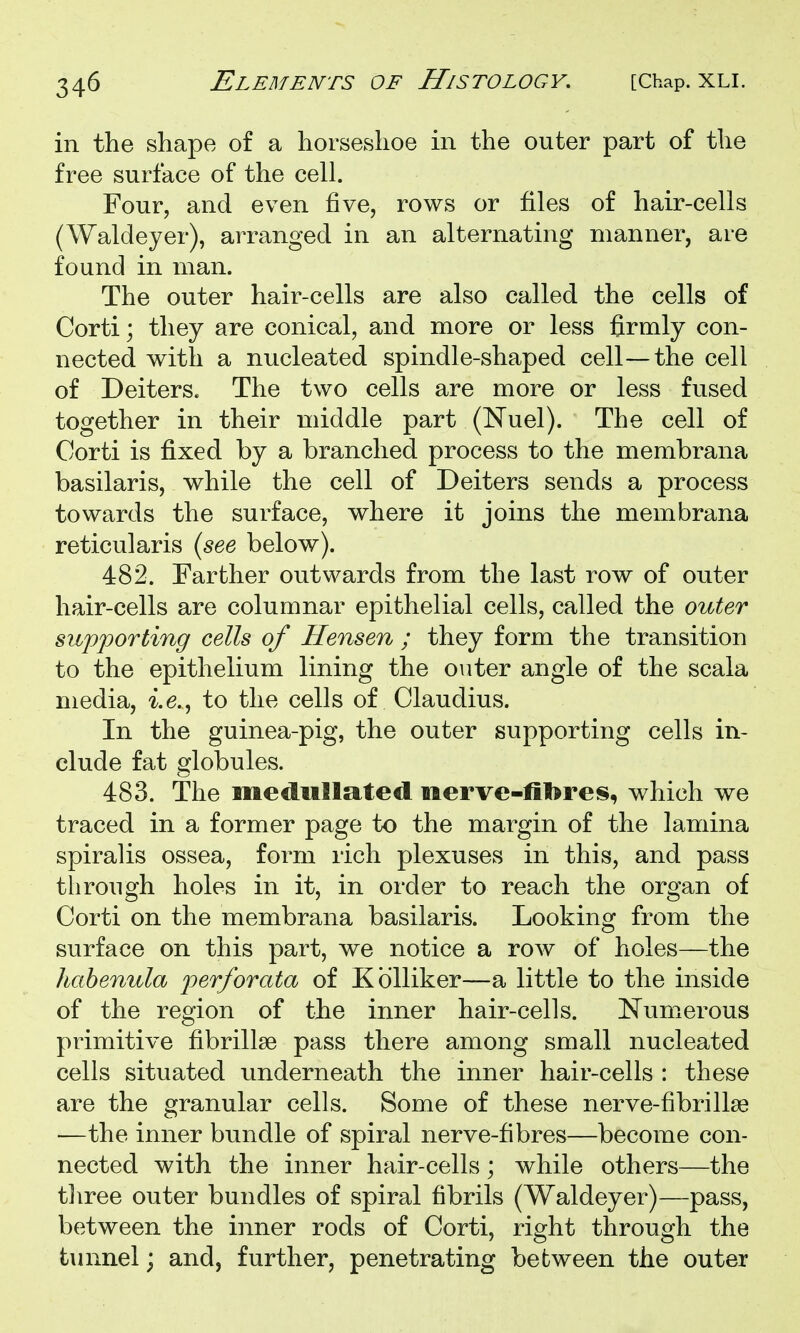 in the shape of a horseshoe in the outer part of the free surface of the cell. Four, and even five, rows or files of hair-cells (Waldeyer), arranged in an alternating manner, are found in man. The outer hair-cells are also called the cells of Corti; they are conical, and more or less firmly con- nected with a nucleated spindle-shaped cell—the cell of Deiters. The two cells are more or less fused together in their middle part (Nuel). The cell of Corti is fixed by a branched process to the membrana basilaris, while the cell of Deiters sends a process towards the surface, where it joins the membrana reticularis {see below). 482. Farther outwards from the last row of outer hair-cells are columnar epithelial cells, called the outer supporting cells of Hensen ; they form the transition to the epithelium lining the outer angle of the scala media, i.e., to the cells of Claudius. In the guinea-pig, the outer supporting cells in- clude fat globules. 483. The medullated merve-fil^res, which we traced in a former page to the margin of the lamina spiralis ossea, form rich plexuses in this, and pass through holes in it, in order to reach the organ of Corti on the membrana basilaris. Looking from the surface on this part, we notice a row of holes—the habenula perforata of Kblliker—a little to the inside of the region of the inner hair-cells. Numerous primitive fibrillse pass there among small nucleated cells situated underneath the inner hair-cells : these are the granular cells. Some of these nerve-fibrillse —the inner bundle of spiral nerve-fibres—become con- nected with the inner hair-cells; while others—the tliree outer bundles of spiral fibrils (Waldeyer)—pass, between the inner rods of Corti, right through the tunnel; and, further, penetrating between the outer