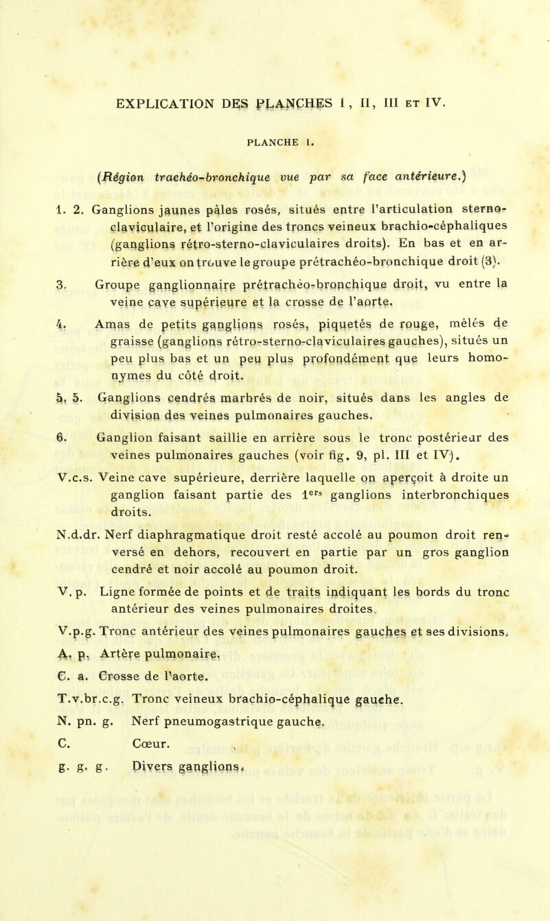 PLANCHE 1. (Région trachéo-bronchique vue par sa face antérieure.) 1. 2. Ganglions jaunes pâles rosés, situés entre l'articulation sterno- claviculaire, et l'origine des troncs veineux brachio-céphaiiques (ganglions rétro-sterno-claviculaires droits). En bas et en ar- rière d'eux on trouve le groupe prétrachéo-bronchique droit (3). 3. Groupe gangUonnairp prétrachéo-bronchique droit, vu entre la veine cave supérieure et la crosse de l'aorte. 4. Arnas de petits gangUoris rosés, piquetés de rouge, mêlés de graisse (ganglions rétro-sterno-claviculaires gauches), situés un peu plus bas et un peu plus profondément qu§ leurs homo- nymes du côté droit. 5. Ganglions cendrés marbrés de noir, situés dans les angles de division des veines pulmonaires gauches. 6. Ganglion faisant saillie en arrière sous le tronc postérieur des veines pulmonaires gauches (voir fig. 9, pl. III et IV), V.c.s. Veine cave supérieure, derrière laquelle on aperçoit à droite un ganglion faisant partie des 1^^* ganglions interbronchiques droits. N.d.dr. Nerf diaphragmatique droit resté accolé au poumon droit ren- versé en dehors, recouvert en partie par un gros ganglion cendré et noir accolé au poumon droit. V. p. Ligne formée de points et de traits indiquant les bords du tronc antérieur des veines pulmonaires droites, V.p.g. Tronc antérieur des veines pulmonaires gauches et ses divisions. ^. p, Artère pulmonaire. C. a. Crosse de Paorte. T.v.br.c.g. Tronc veineux brachio-céphalique gauche. N. pn. g. Nerf pneumogastrique gauche. C. Cœur. g. g. g. Divers ganglions,