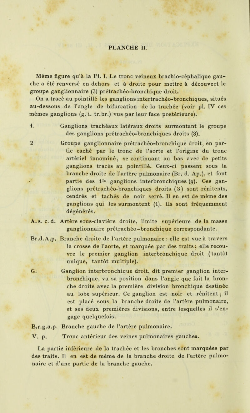 Même figure qu'à la Pl. L Le tronc veineux brachio-céphalique gau- che a été renversé en dehors et à droite pour mettre à découvert le groupe ganglionnaire (3) prétrachéo-bronchique droit. On a tracé au pointillé les ganglions intertrachéo-bronchiques, situés au-dessous de l'angle de bifurcation de la trachée (voir pl. IV ces mêmes ganglions (g. i. tr.br.) vus par leur face postérieure). 1. Ganglions trachéaux latéraux droits surmontant le groupe des ganglions prétrachéo-bronchiques droits (3). 2 Groupe ganglionnaire prétrachéo-bronchique droit, en par- tie caché par le tronc de l'aorte et l'origine du tronc artériel innominé, se continuant au bas avec de petits ganglions tracés au pointillé. Ceux-ci passent sous la branche droite de l'artère pulmonaire (Br. d. Ap.), et font partie des ganglions interbronchiques {g). Ces gan- glions prétrachéo-bronchiques droits (3) sont rénitents, cendrés et tachés de noir serré. Il en est de même des ganglions qui les surmontent (1). Ils sont fréquemment dégénérés. A. s. c. d. Artère sous-clavière droite, limite supérieure de la masse ganglionnaire prétrachéo-bronchique correspondante. Br.d.A.p. Branche droite de l'artère pulmonaire : elle est vue à travers la crosse de l'aorte, et marquée par des traits ^ elle recou- vre le premier ganglion interbronchique droit (tantôt unique, tantôt multiple). G. Ganglion interbronchique droit, dit premier ganglion inter- bronchique, vu sa position dans l'angle que fait la bron^ che droite avec la première division bronchique destinée au lobe supérieur. Ce ganglion est noir et rénitent ; il est placé sous la branche droite de l'artère pulmonaire, et ses deux premières divisions, entre lesquelles il s'en- gage quelquefois. B. r.g.a.p. Branche gauche de l'artère pulmonaire. V. p. Tronc antérieur des veines pulmonaires gauches. La partie inférieure de la trachée et les bronches sont marquées par des traits. Il en est de même de la branche droite de l'artère pulmo- naire et d'une partie de la branche gauche.