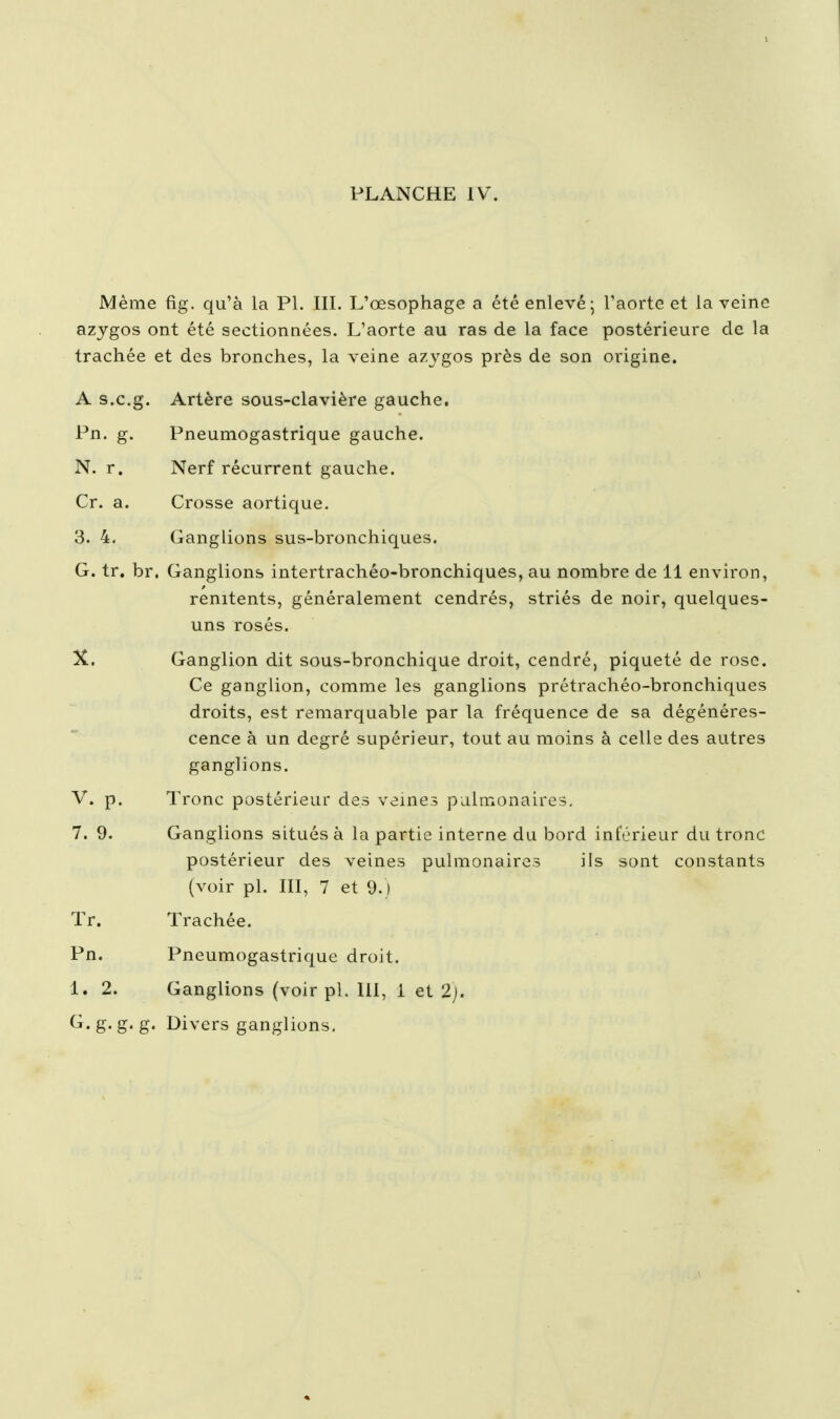 Même fig. qu'à la PL III. L'œsophage a été enlevé; l'aorte et la veine azjgos ont été sectionnées. L'aorte au ras de la face postérieure de la trachée et des bronches, la veine azj^gos près de son origine. A s.c.g. Artère sous-clavière gauche, Pn. g. Pneumogastrique gauche. N. r. Nerf récurrent gauche. Cr. a. Crosse aortique. 3. 4. Ganglions sus-bronchiques. G. tr, br. Ganglions intertrachéo-bronchiques, au nombre de 11 environ, renitents, généralement cendrés, striés de noir, quelques- uns rosés. X. Ganglion dit sous-bronchique droit, cendré, piqueté de rose. Ce ganglion, comme les ganglions prétrachéo-bronchiques droits, est remarquable par la fréquence de sa dégénéres- cence à un degré supérieur, tout au moins à celle des autres ganglions. V. p. Tronc postérieur des veines pulmonaires, 7. 9. Ganglions situés à la partie interne du bord inférieur du tronc postérieur des veines pulmonaires ils sont constants (voir pl. III, 7 et 9. ) Tr. Trachée. Pn. Pneumogastrique droit, 1. 2. Ganglions (voir pl. 111, i et 2). G.g. g. g. Divers ganglions.