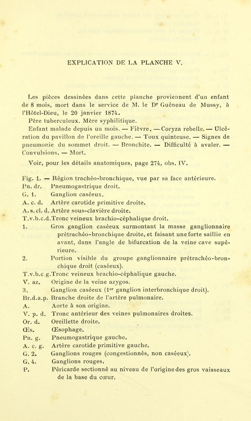 Les pièces dessinées dans cette planche proviennent d'un enfant de 8 mois, mort dans le service de M. le Guéneau de Mussy, à l'Hôtel-Dieu, le 20 janvier 1874, Père tuberculeux. Mère syphilitique. Enfant malade depuis un mois. — Fièvre. — Coryza rebelle.— Ulcé- ration du pavillon de l'oreille gauche. -— Toux quinteuse. — Signes de pneumonie du sommet droit. — Bronchite. — Difficulté à avaler. — Convulsions. — Mort. Voir, pour les détails anatomiques, page 274, obs. IV. Fig. 1. — Région trachéo-bronchique, vue par sa face antérieure. Pn. dr. Pneumogastrique droit. G. 1. Ganglion caséeux. A. c. d. Artère carotide primitive droite. A. s. cl. d. Artère sous-clavière droite. T.v.b.c.d.Tronc veineux brachio-céphalique droit. 1. Gros ganglion caséeux surmontant la masse ganglionnaire prétrachéo-bronchique droite, et faisant une forte saillie en avant, dans l'angle de bifurcation de la veine cave supé- rieure. 2. Portion visible du groupe ganglionnaire prétrachéo-bron- chique droit (caséeux). T.v.b.cg.Tronc veineux brachio-céphalique gauche. V. az. Origine de la veine azygos. 3. Ganglion caséeux {1^^ ganglion interbronchique droit). Br.d.a.p. Branche droite de l'artère pulmonaire. A. Aorte à son origine. V. p. d. Tronc antérieur des veines pulmonaires droites. Or. d. Oreillette droite. Œs. Œsophage. Pn. g. Pneumogastrique gauche. A. c. g. Artère carotide primitive gauche. G. 2. Ganglions rouges (congestionnés, non caséeux). G. 4. Ganglions rouges. P. Péricarde sectionné au niveau de l'origine des gros vaisseaux de la base du cœur.