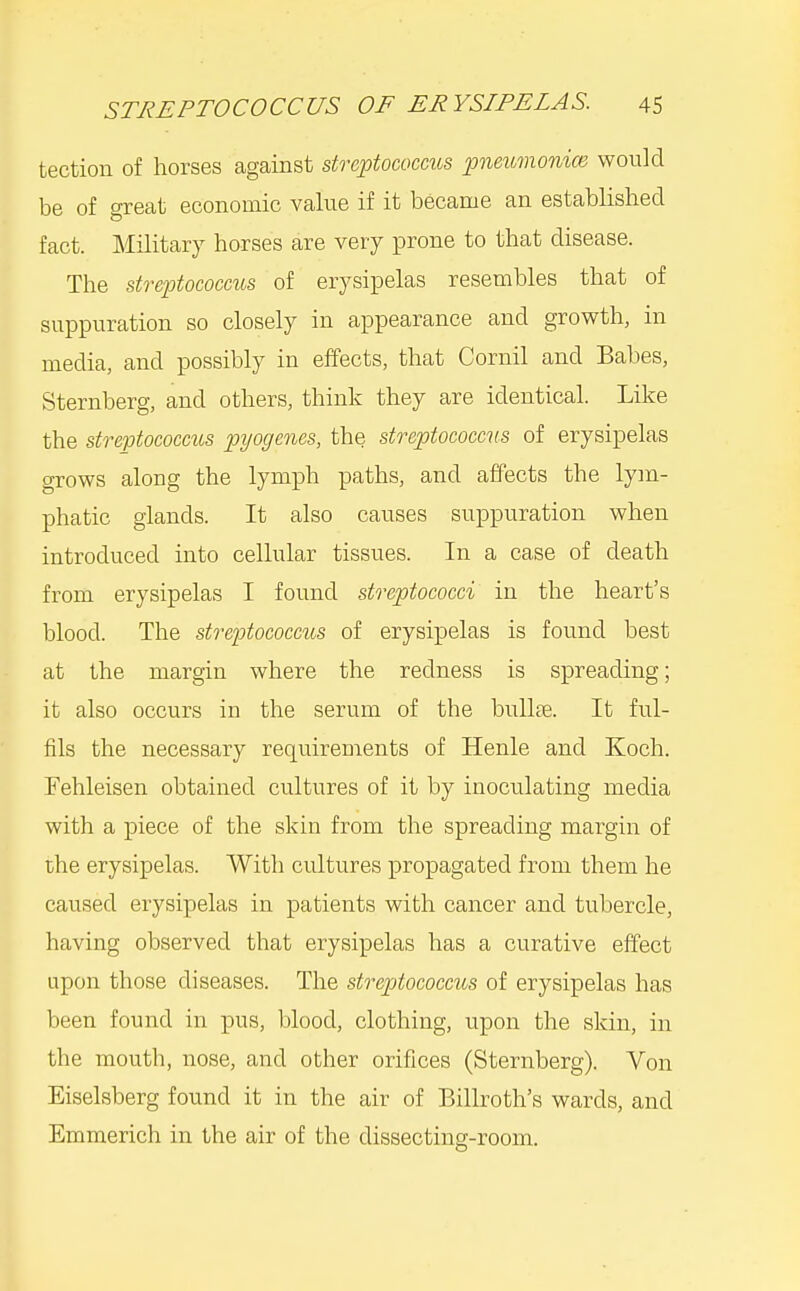 tection of horses against strcptococms pneumonice would be of great economic value if it became an established fact. Military horses are very prone to that disease. The streptococcus of erysipelas resembles that of suppuration so closely in appearance and growth, in media, and possibly in effects, that Cornil and Babes, Sternberg, and others, think they are identical. Like the streptococcus pyogenes, the streptococcus of erysipelas grows along the lymph paths, and affects the lym- phatic glands. It also causes suppuration when introduced into cellular tissues. In a case of death from erysipelas I found streptococci in the heart's blood. The streptococcus of erysipelas is found best at the margin where the redness is spreading; it also occurs in the serum of the bullae. It ful- fils the necessary requirements of Henle and Koch. Fehleisen obtained cultures of it by inoculating media with a piece of the skin from the spreading margin of the erysipelas. With cultures propagated from them he caused erysipelas in patients with cancer and tubercle, having observed that erysipelas has a curative effect upon those diseases. The streptococcus of erysipelas has been found in pus, blood, clothing, upon the skin, in the mouth, nose, and other orifices (Sternberg). Von Eiselsberg found it in the air of Billroth's wards, and Emmerich in the air of the dissecting-room.