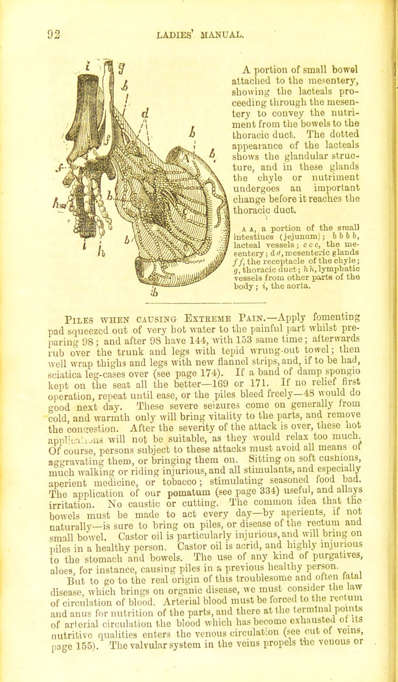 A portion of small bowol attached to the mesentery, showing the lacteals pro- ceeding through the mesen- tery to convey the nutri- ment from the bowels to the thoracic duct. The dotted appearance of the lacteals shows the glandular struc- ture, and in these glands the chyle or nutriment undergoes an important change before it reaches the thoracic duot. A A, a portion of the small intestines (jejumun); b b b b, lacteal vessels ; ccc, the me- sentery; dd,mesenteric glands //, the receptacle of the chyle j 3, thoracic duct; lin, lymphatic vessels from other parte of the hody; i, the aorta. Piles when causing Exteeme Pain.—Apply fomenting pad squeezed out of very hot water to the painful part whilst pre- paring 98 ; and after OS have 144, with 153 same time; afterwards rub over the trunk and legs with tepid wrung-out towel; then well wrap thighs and legs with new flannel strips, and, if to be had, sciatica leg-cases over (see page 174). If a band of damp spongio kept on the seat all the better—169 or 171. If no relief first operation, repeat until ease, or the piles bleed freely—48 would do good next day. These severe seizures come on generally from cold, and warmth only will bring vitality to the parts, and remove the congestion. After the severity of the attack is over, these hot appKViJiis will not be suitable, as they would relax too much Of course, persons subject to these attacks must avoid all means of aggravating them, or bringing them on. Sitting on soft cusnions, much walking or riding injurious, and all stimulants, and especially aperient medicine, or tobacco; stimulating seasoned food bad. The application of our pomatum (see page 334) useful, and allays irritation. No caustic or cutting. The common idea that the bowels must be made to act every day—by aperients, if not naturally—is sure to bring on piles, or disease of the rectum and small bowel. Castor oil is particularly injurious,and will bring on piles in a healthy person. Castor oil is acrid, and highly injurious to the stomach and bowels. The use of any kind of purgatives, aloes, for instance, causing piles in a previous healthy person. But to go to the real origin of this troublesome and often fatal disease, which brings on organic disease, we must consider the law of circulation of blood. Arterial blood must be forced to the rectum and anus for nutrition of the parts, and there at the terminal pomte of arterial circulation the blood which has become exhausted ot its nutritive qualities enters the venous circulation (see cut oi veins, page 155). The valvular system in the veins propels t-hc venous or