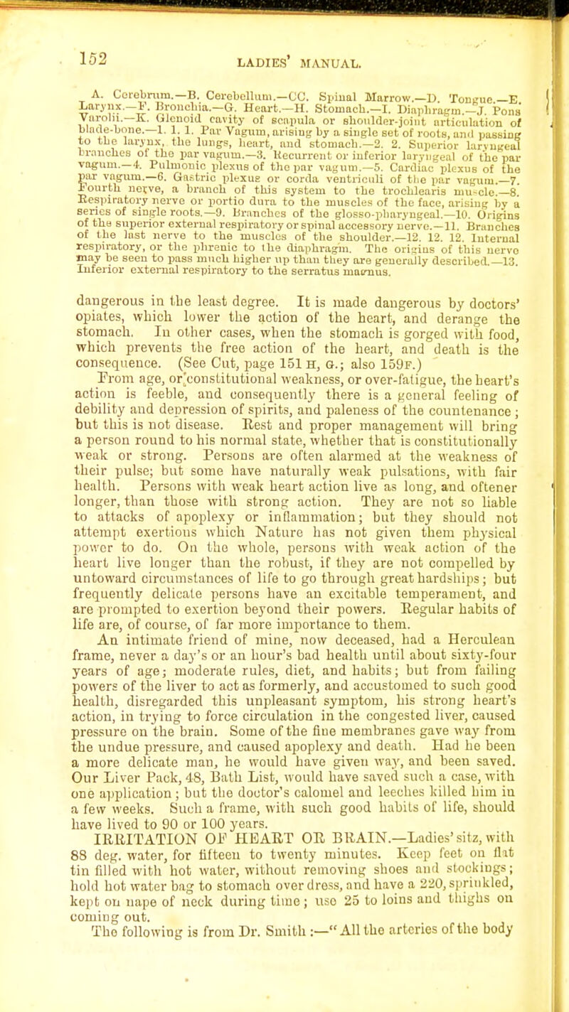 A. Cerebrum.—B. Cerebellum—CO. Spinal Marrow.—D Tongue —E Larynx.—F. Bronchia.—G. Heart.—H. Stomacb.—I. Diaphragm -J Pons' Varohi.-K. Glenoid cavity of scapula or shoulder-joint articulation of blade-bone.—1. 1 1. Par Vagum, arising by a single set of roots, ami passing to the larynx, the lungs, heart, and stomacb.—2. 2. Superior laryngeal branches oi the par vagum.—3. Uecurrent or inferior laryngeal of the par vagum.-4. Pulmonic plexus of the par vagum.—5. Cardiac plexus of the par vagum.—6. Gastric plexus or corda ventriouH of the par vagum.—7 Fourth nerve, a branch of this system to the trochlearis inu-cle.—8. Respiratory nerve or portio dura to the muscles of the face, arising by a series of single roots.—9. branches of the glossopharyngeal.—10. Origins of the superior external respiratory or spinal accessory nerve.—11. Brunches of the last nerve to the muscles of the shoulder.—12. 12. 12. Internal respiratory, or the phrenic to ihe diaphragm. The origins of this nervo may be seen to pass much higher up than they are generally described.—13. Inferior external respiratory to the serratus maraus. dangerous in the least degree. It is made dangerous by doctors' opiates, which, lower the action of the heart, and derange the stomach. In other cases, when the stomach is gorged with food, which prevents the free action of the heart, and death is the' consequence. (See Cut, page 151 h, g.; also 159f.) From age, or'eonstitutional weakness, or over-fatigue, the heart's action is feeble, and consequently there is a general feeling of debility and depression of spirits, and paleness of the countenance ; but this is not disease. Best and proper management will bring a person round to his normal state, whether that is constitutionally weak or strong. Persons are often alarmed at the weakness of their pulse; but some have naturally weak pulsations, with fair health. Persons with weak heart action live as long, and oftener longer, than those with strong action. They are not so liable to attacks of apoplexy or inflammation; but they should not attempt exertions which Nature has not given them physical power to do. On the whole, persons with weak action of the heart live longer than the robust, if they are not compelled by untoward circumstances of life to go through great hardships ; but frequently delicate persons have an excitable temperament, and are prompted to exertion beyond their powers. Regular habits of life are, of course, of far more importance to them. An intimate friend of mine, now deceased, had a Herculean frame, never a day's or an hour's bad health until about sixty-four years of age; moderate rules, diet, and habits; but from failing powers of the liver to act as formerly, and accustomed to such good health, disregarded this unpleasant symptom, his strong heart's action, in trying to force circulation in the congested liver, caused pressure on the brain. Some of the fine membranes gave way from the undue pressure, and caused apoplexy and death. Had he been a more delicate man, he would have given way, and been saved. Our Liver Pack, 48, Bath List, would have saved such a case, with one application; but the doctor's calomel and leeches killed him in a few weeks. Such a frame, with such good habits of life, should have lived to 90 or 100 years. IRRITATION OP HEART OR BRAIN.—Ladies' sitz, with 88 deg. water, for fifteen to twenty minutes. Keep feet on flat tin filled with hot water, without removing shoes and stockings; hold hot water bag to stomach over dress, and have a 220, sprinkled, kept on nape of neck during time; uso 25 to loins and thighs on coming out. Tho following is from Dr. Smith :—All the arteries of the body
