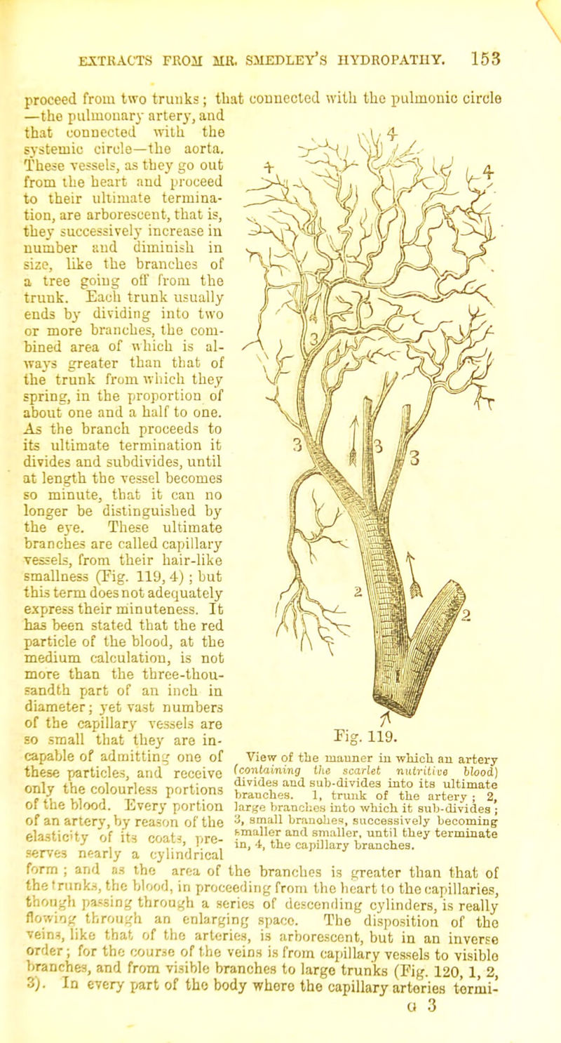 proceed from two trunks; that connected with the pulmonic circle —the pulmonary artery, and that connected with the systemic circle—the aorta. These vessels, as they go out from the heart and proceed to their ultimate termina- tion, are arborescent, that is, they successively increase in number and diminish in size, like the branches of a tree going off from the trunk. Each trunk usually ends by dividing into two or more branches, the com- bined area of which is al- ways greater than that of the trunk from which they spring, in the proportion of about one and a half to one. As the branch proceeds to its ultimate termination it divides and subdivides, until at length the vessel becomes so minute, that it can no longer be distinguished by the eye. These ultimate branches are called capillary vessels, from their hair-like smallness (Fig. 119, 4) ; but this term does not adequately express their minuteness. It has been stated that the red particle of the blood, at the medium calculation, is not more than the three-thou- sandth part of an inch in diameter; yet vast numbers of the capillary vessels are so small that they are in- capable of admitting one of these particles, and receive only the colourless portions of the blood. Every portion of an artery, by reason of the elasticity of its coats, pre- serves nearly a cylindrical form ; and as the area of the branches is greater than that of the trunks, the blood, in proceeding from the heart to the capillaries, though passing through a series of descending cylinders, is really flowing through an enlarging space. The disposition of the veins, like that of the arteries, is arborescent, but in an inverse order; for the course of the veins is from capillary vessels to visible branches, and from visible branches to large trunks (Fig. 120,1 2 3). In every part of the body where the capillary artories tormi- u 3 119. View of the manner in which an artery (containing the scarlet nutrilice blood) divides and sub-divides into its ultimate branches. 1, trunk of the artery ; 2, large branches into which it sub-divides ; o, small branohes, successively becoming smaller and smaller, until they terminate in, 4, the capillary branches.
