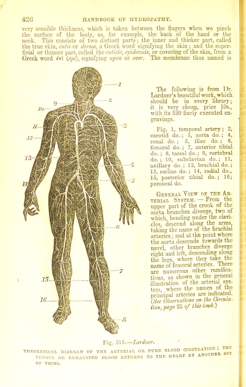very sensible thickness, which is taken between the fingers when we pinch the surface of the body, as, for example, the back of the hand or the neck. Tliis consists of two distinct parts; the inner and thicker part, called the true skin, cuds or derma, a Greek word signifying the skin ; and the super- ficial or thinner part, called the cuticle, epidermis, or covering of the skin, from a Greek word M {epi), signifying upon or over. The membrane thus named is The following is from Dr. Lardner's beaunrul work, which should be in every library; it is very cheap, price 10s., with its 520 finely executed en- gravings. Fig. 1, temporal artery; 2, carotid do. ; 3, aorta do. ; 4, renal do. ; 5, iliac do.; 6, femoral do. ; 7, anterior tibial do. ; 8, tarsal do.; 9, vertebral do.; 10, subclavian do.; 11, axillary do.; 12, brachial do.; 13, coeliac do. ; 14, radial do., 15, posterior tibial do-; 16; peroneal do. Geneeal View op the Ae- TEiiiAi. System. — Prom the upper part of the crook of the aorta branches diverge, two of which, bending under the clavi- cles, descend along the arms taking the name of the brachial arteries; and at the point where the aorta descends towards the navel, other branches diverge ri^ht and left, descending along the legs, where they take the name of femoral arteries. There are numerous other ramifica- tions as shown in the general illustration of the arterial sys- tem, where the names ot the principal arteries are indicated. {See Observations on the Chraila- tion, page 25 of this book.) Tig. 315.—Lardner. THEORETICAL DIAGRAM OF THE ARTERIAL Oil PORE BLOOD CIRCULATION , TBI. VENOUS or. EXHAUSTED BLOOD RETURNS TO TUB 11EART BY ANOUIB* 01' VEINS.