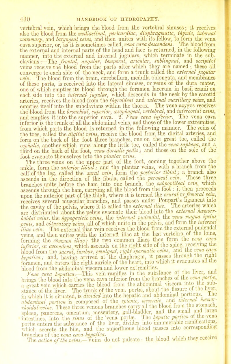 vertebral vein, which brings the blood from the vertebral sinuses; it receives also the blood from the mediastinal, pericardiac, diaphragmatic, thymic, internal mammary, and laryngeal veins, and then unites with its fellow, to form the vena cava superior, or, as it is sometimes called, vena cava descendens. The blood from the external and internal parts of the head and face is returned, in the following manner, into the external and internal jugulars, which terminate in the sub- clavian:—The frontal, angular, temporal, aricular, sublingual, and occipitr.l veins receive the blood from the parts after which they are named ; these all converge to each side of the neck, and form a trunk called the external jugular rein. The blood from the brain, cerebellum, medidia oblongata, and membranes of these parts, is received into the lateral sinuses, or veins of the dura mater, one of which empties its blood through the foramen lacerum in basii cranii on each side info the internal jugular, which descends in the neek by the carotid arteries, receives the blood from the thyroideal and internal maxillary veins, and empties itself into the subclavians within the thorax. The vena azygos receives the blood from the bronchial, superior, (esophageal, vertebral, and intercostal veins, and empties it into the superior cava. 2. Vena cava inferior. The vena cava inferior is the trunk of all the abdominal veins, and those of the lower extremities, from which parts the blood is returned in the following manner. The veins of the toes, called the digital, veins, receive the blood from the digital arteries, and form on the back of the foot three branches, one on the great toe, called the cephalic, another which runs along the little toe, called the vena saphena, and a third on the back of the foot, vena dorsalis pedis ; and those on the sole of the foot evacuate themselves into the plantar veins. The three veins on the upper part of the foot, coming together above the ankle, form the anterior tibial; and the plantar veins, with a branch from the calf of the leg, called the sural vein, form the posterior tibial; a branch also ascends in the direction of the fibula, called the peroneal vein. These three branches unite before the ham into one branch, the subpopliteal vein, which ascends through the ham, carrying all the blood from the loot: it then proceeds upon the anterior part of the thigh, where it is termed the crural orfemoral vein, receives several muscular branches, and passes under Poupart's ligament into the cavity of the pelvis, where it is called the external iliac. The arteries which are distributed about the pelvis evacuate their blood intothe external hemorr- hoidal veins, the , penis, and obturator^ iliac vein. The external Ui veins, and then unites with the internal iliac at the last vertebra ol the Joins, forming the common iliac; the two common iliacs then form the vena cant inferior, or ascendens, which ascends on the right side of the spine, receiving the blood from the sacral, lumbar, emulgent, right spermatic veins, and the vena cava Itepatiea; and, haviug arrived at the diaphragm, it passes through the right foramen, and enters the right auricle of the heart, into which it evacuates all tlie blood from the abdominal viscera and lower extremities. Vena cava hepatica.—-This vein ramifies in the substance ol the liver, and brings the blood into the vena cava inferior from (lie branches ol the vena port,/; a great vein which carries the blood from (he abdominal viscera into the sub- stance of the liver. The trunk of the vena port x, about the _ fissure ol t he liver, in which it is situated, is divided into the hepatic and abdominal portions, me abdominal portion is composed of the splenic, meseratc. and internal liavnor- rhoidal veins. These three venous branches carry a 1 (lie blood from the stomach, spleen, pancreas, omentum, mesentery, gall-bladder, and the small ami large intestines, into the sinus of the'vena porta:. The hepatic portion ol the vena portas enters the substance of the liver, divides into innumerable ramifications, which secrete the bile, and the superfluous blood passes into corresponding branches of the vena cava hepalica. . ■ The action, of the veins— Veins do not pulsate : the blood which they receive