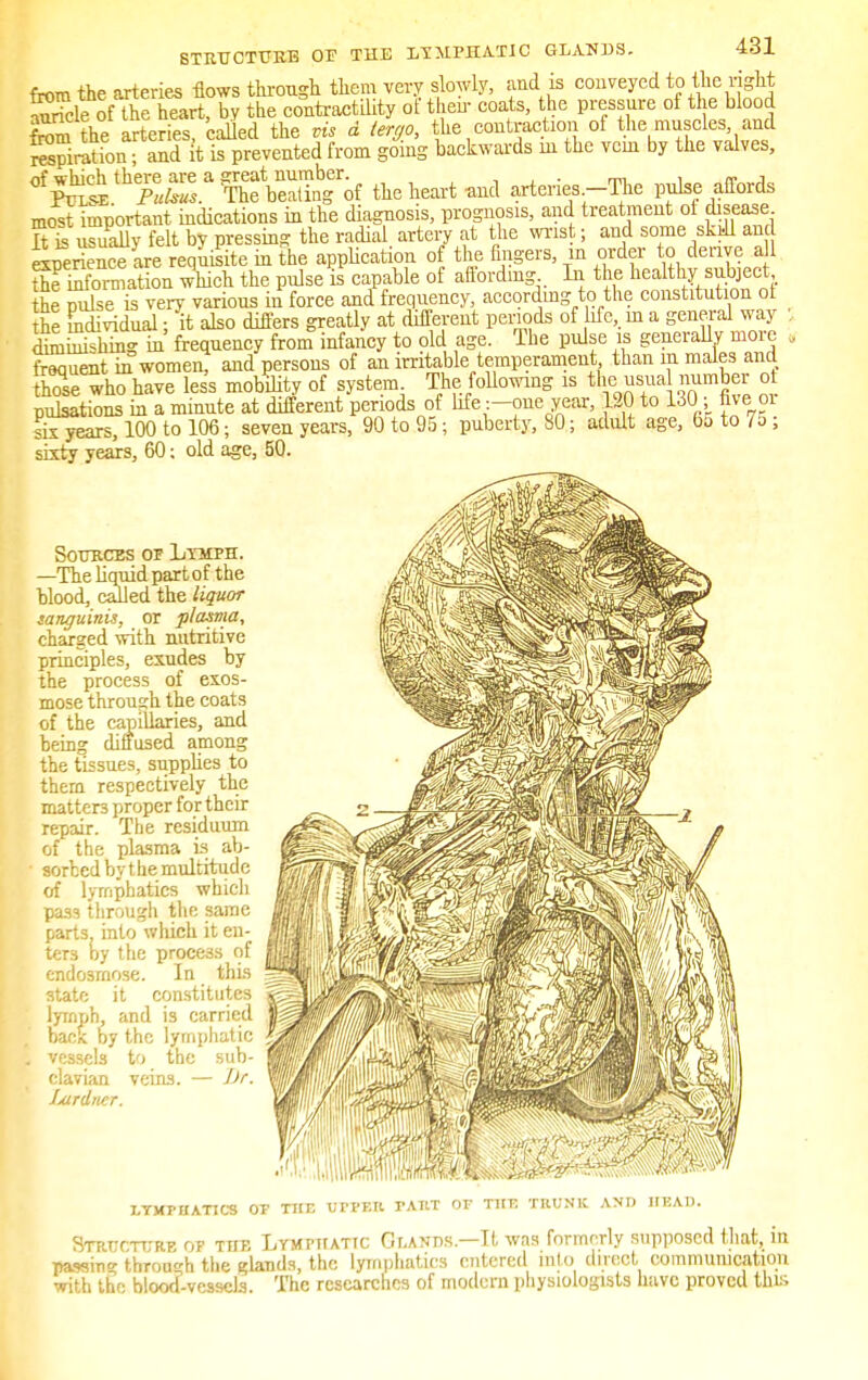 STRUCTURE OF THE LTMPHATIC GLANDS. from the arteries flows through them very slowly, and is conveyed to the mght Sk of the heart, by the contractility of then- coats, the pressure of the blood S the arteries, 'called the vis d lergp, the contraction of the muscles and Station • and It is prevented from going backwards m the vein by the valves, 0f^Ethp^/lebSbgrof the heart «nd arteries-The pulse affords most important indications in the diagnosis, prognosis, and treatment ot disease ft usually felt by pressing the radial artery at the wrist; and some skill and experience are requisite in the application of the fingers, in order to derive a11 information which the pulse is capable of affording In the healthy subject the pulse is very various in force and frequency, according to the constitution ot the Ldividual; it also differs greatly at different periods of life, m a general way ; STliing in frequency from infancy to old age. The pulse is generally more „ frequent in women, and persons of an irritable temperament than m males and hose who have less mobility of system The following is the W number ot pulsations in a minute at different periods of life :-one year, 120 to 130 ■ five oi six years, 100 to 106; seven years, 90 to 95; puberty, 80; adult age, 65 to 7o; sixty years, 60; old age, 50. Sources of Lymph. —The liquid part of the blood, called the liquor sanguinis, or plcusma, charged with nutritive principles, exudes by the process of exos- mose through the coats of the capillaries, and being diffused among the tissues, supplies to thern respectively the matters proper for their repair. The residuum of the plasma is ab- • sorbcd by the multitude of lymphatics which pa.ss through the same parts, into which it en- ters by the process of endo3rnose. In this 3tate it constitutes lymph, and is carried bade by the lymphatic , vessels to the sub- clavian veins. — Dr. Ijurdncr. V. MM, LYMPHATICS OT THE VVVr.V. TAUT OF THE TRUNK AND HEAD. Structure of tub Lymphatic Gt,ands.—It was formerly supposed that, in passing through the glands, the lymphatics entered into direct communication with the blood-vessels. The researches of modern physiologists have proved this
