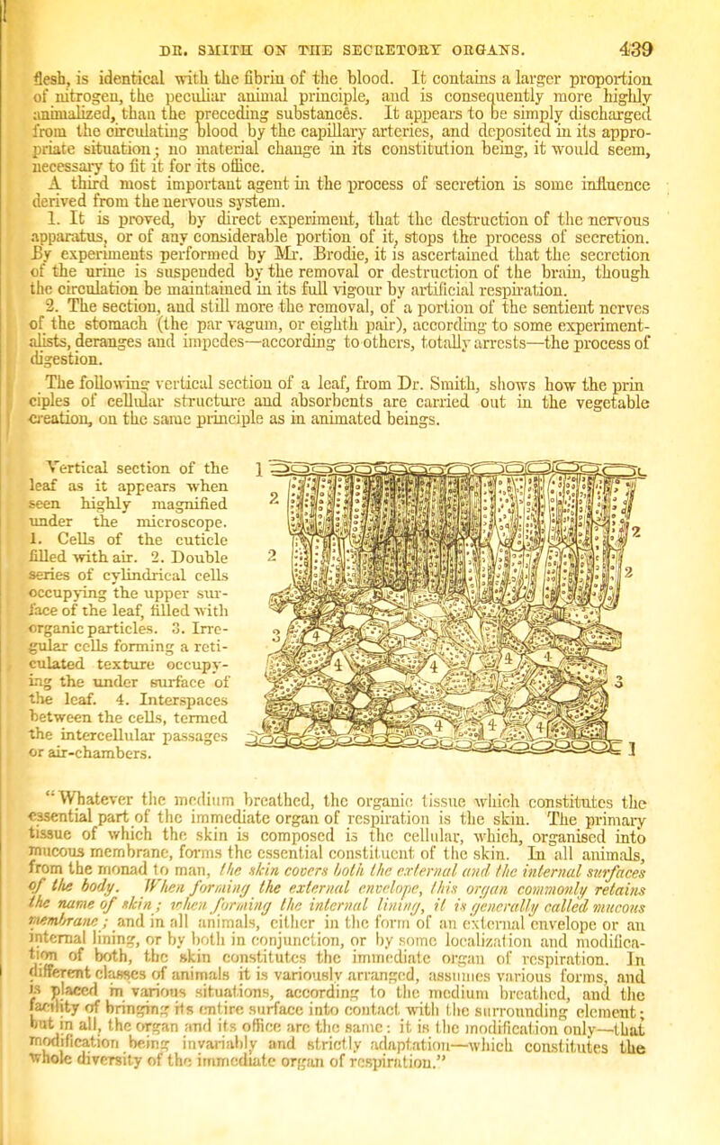 flesh, is identical with the fibrin of the blood. It contains a larger proportion of nitrogen, the peculiar animal principle, and is consequently more highly annualized, than the preceding substances. It appears to be simply discharged from the circulating mood by the capillary arteries, and deposited in its appro- I riate situation; no material change in its constitution being, it would seem, necessary to fit it for its oiiice. A third most important agent in the process of secretion is some influence derived from the nervous system. 1. It is proved, by direct experiment, that the destruction of the nervous apparatus, or of any considerable portion of it, stops the process of secretion. By experiments performed by Mr. Brodie, it is ascertained that the secretion of the urine is suspended by the removal or destruction of the brain, though the circulation be maintained in its full vigour by artificial respiration. 2. The section, and still more the removal, of a portion of the sentient nerves of the stomach (the par vagum, or eighth pair), according to some experiment- alists, deranges and impedes—according to others, totally arrests—the process of digestion. The following vertical section of a leaf, from Dr. Smith, shows how the prin ciples of cellular structure and absorbents are carried out in the vegetable creation, on the same principle as in animated beings. Vi-rtical section of the leaf as it appears when seen highly magnified under the microscope. 1. Cells of the cuticle filled with air. 2. Double series of cylindrical cells occupying the upper sur- face of the leaf, filled with organic particles. 3. Irre- gular cells forming a reti- culated texture occupy- ing the under surface of the leaf. 4. Interspaces hetween the cells, termed the intercellular passages or air-chambers. Whatever the medium breathed, the organic; tissue which constitutes the essential part of the immediate organ of respiration is the skin. The primary tissue of which the skin is composed is the cellular, which, organised into mucous membrane, forms the essential constituent of the skin. In all animals, from the monad to man, the skin covers both the external and the internal surfaces of tlie body. When forming the external envelope, this organ commonly retains the name of skin ; when forming the internal lining, it is generally called mucous nembrane; and in all animals, cither in the form of an external envelope or an internal lining, or by both in conjunction, or by some localization and modifica- tion of both, the skin constitutes the immediate organ of respiration. In different classes of animals it is variously arranged, assumes various forms, and is placed m various situations, according to the medium breathed, and the facility of bringing its entire surface into contact with the surrounding element; but in all, the organ and its office are the same: it is the modification only—that modification being invariably and strictly adaptation—which constitutes the ■whole diversity of the immediate organ of respiration.