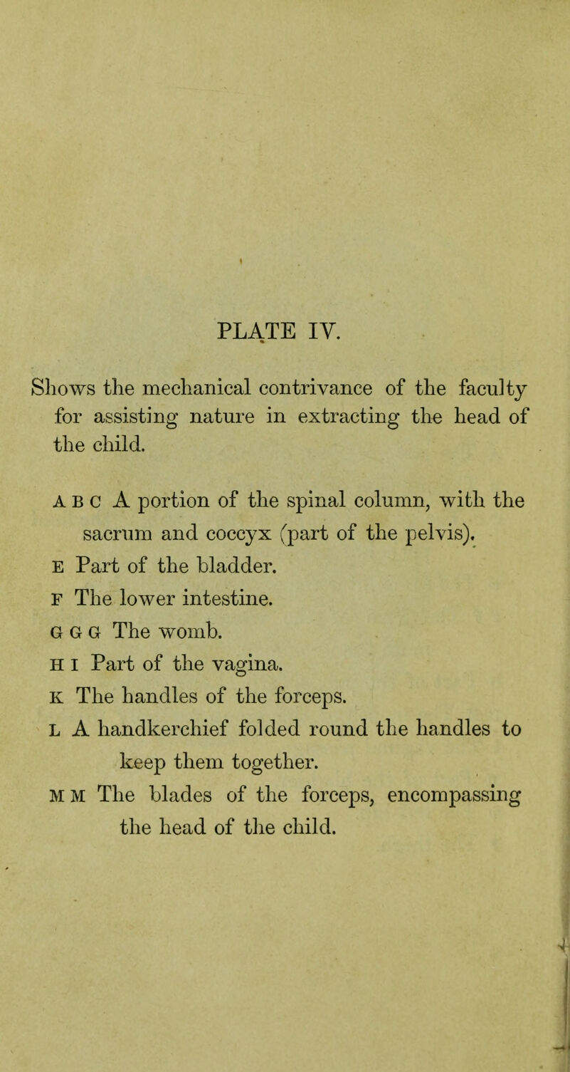 Shows the mechanical contrivance of the faculty for assisting nature in extracting the head of the child. A B c A portion of the spinal column, with the sacrum and coccyx (part of the pelvis). E Part of the bladder. F The lower intestine. G G G The womb. H I Part of the vagina. K The handles of the forceps. L A handkerchief folded round the handles to keep them together. M M The blades of the forceps, encompassing the head of the child.