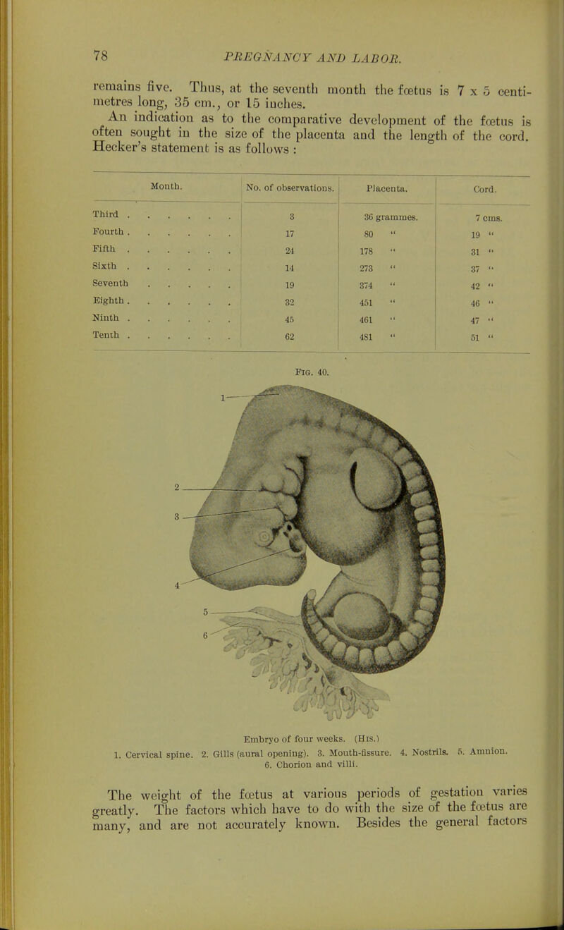 remains five. Thus, at the seventh month the foetus is 7 x 5 centi- metres long, 35 cm., or 15 inches. An indication as to the comparative development of the foetus is often sought in the size of the placenta and the length of the cord. Heeker's statement is as follows : Month. Third . Fourth . Fifth . Sixth . Seventh Eighth . Ninth . Tenth . No. of observations. 3 17 24 14 19 32 45 62 Placenta. 36 grammes. 80 178 273 374 451 461 481 Cord. 7 cms. 19 31 37 42 46 47 51 Fig. 40. Embryo of four weeks. (His.) 1. Cervical spine. 2. Gills (aural opening). 3. Mouth-fissure. 4. Nostrils. 5. Amnion. 6. Chorion and villi. The weight of the foetus at various periods of gestation varies greatly. The factors which have to do with the size of the foetus are many, and are not accurately known. Besides the general factors
