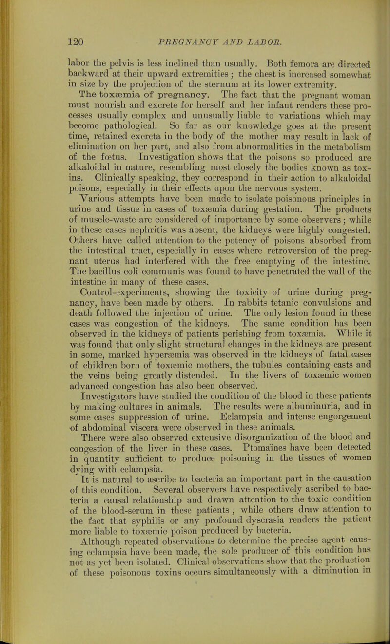 labor the pelvis is less inclined than usually. Both femora are directed backward at their upward extremities ; the chest is increased somewhat in size by the projection of the sternum at its lower extremity. The toxaemia of pregnancy. The fact that the pregnant woman must nourish and excrete for herself and her infant renders these pro- cesses usually complex and unusually liable to variations which may become pathological. So far as our knowledge goes at the present time, retained excreta in the body of the mother may result in lack of elimination on her psirt, and also from abnormalities in the metabolism of the foetus. Investigation shows that the poisons so produced are alkaloidal in nature, resembling most closely the bodies known as tox- ins. Clinically speaking, they correspond in their action to alkaloidal poisons, especially in their effects upon the nervous system. Various attempts have been made to isolate poisonous principles in urine and tissue in cases of toxaemia during gestation. The products of muscle-waste are considered of importance by some observers; while in these cases nephritis was absent, the kidneys were highly congested. Others have called attention to the potency of poisons absorbed from the intestinal tract, especially in cases where retroversion of the preg- nant uterus had interfered with the free emptying of the intestine. The bacillus coli communis was found to have penetrated the wall of the intestine in many of these cases. Control-experiments, showing the toxicity of urine during preg- nancy, have been made by others. In rabbits tetanic convulsions and death followed the injection of urine. The only lesion found in these cases was congestion of the kidneys. The same condition has been observed in the kidneys of patients perishing from toxaemia. While it was found that only slight structural changes in the kidneys are present in some, marked hypertemia was observed in the kidneys of fatal cases of children born of toxaemic mothers, the tubules containing casts and the veins being greatly distended. In the livers of toxsemic women advanced congestion has also been observed. Investigators have studied the condition of the blood in these patients by making cultures in animals. The results were albuminuria, and in some cases suppression of uriue. Eclampsia and intense engorgement of abdominal viscera wei'e observed in these animals. There were also observed extensive disorganization of the blood and congestion of the liver in these cases. Ptomaines have been detected in quantity sufficient to produce poisoning in the tissues of women dying with eclampsia. It is natural to ascribe to bacteria an important part in the causation of this condition. Several observers have respectively ascribed to bac- teria a causal relationship and drawn attention to the toxic condition of the blood-serum in these patients , while others draw attention to the fact that syphilis or any profound dyscrasia renders the patient more liable to toxaemic poison produced by bacteria. Although repeated observations to determine the precise agent caus- ing eclampsia have been made, the sole producer of this condition has not as yet been isolated. Clinical observations show that the production of these poisonous toxins occurs simultaneously with a diminution m